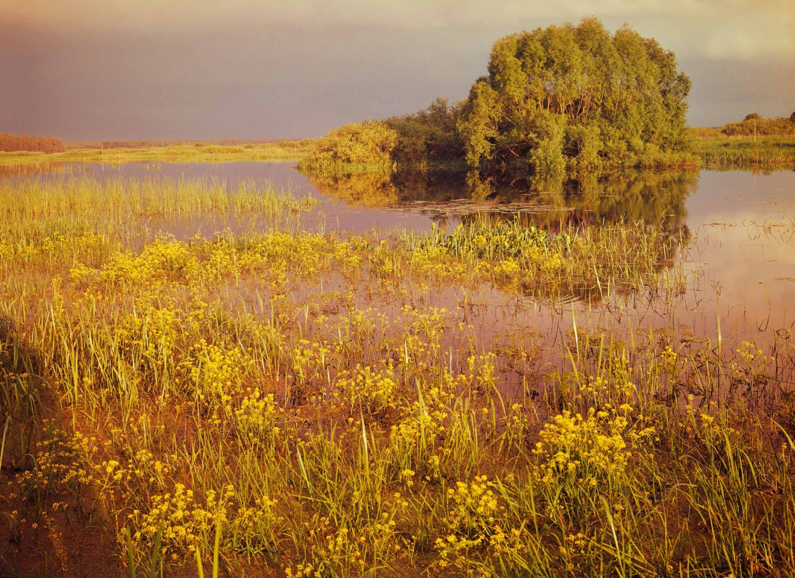 Коллекционные альбомы. ВАДИМ ГИППЕНРЕЙТЕР — ВЕЛИКИЙ ФОТОГРАФ ЗЕМЛИ РУССКОЙ