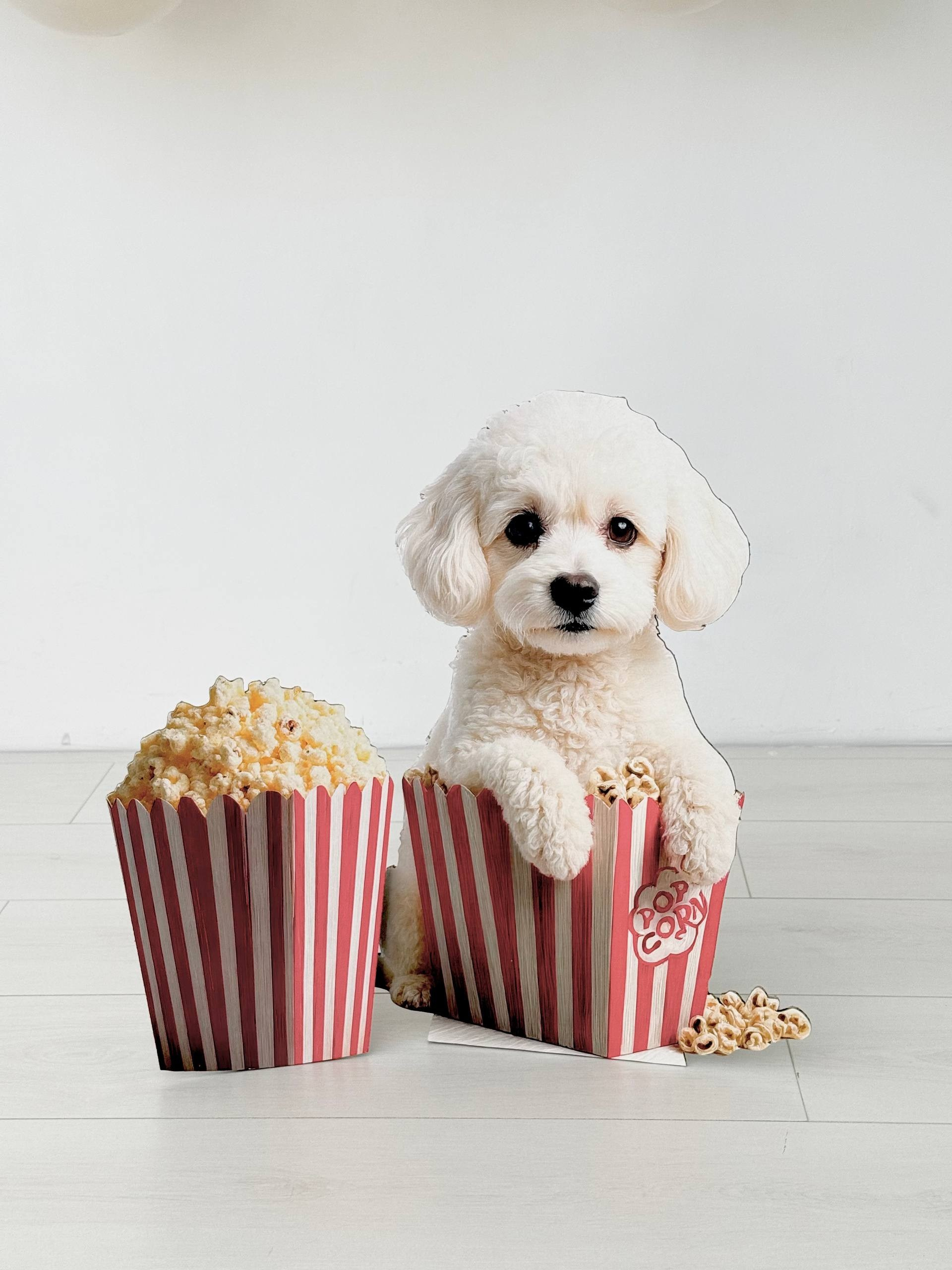 Детская фотосессия. Фотосессия на годик. Годовасие. Фотостудия «Птичка» Мытищи,