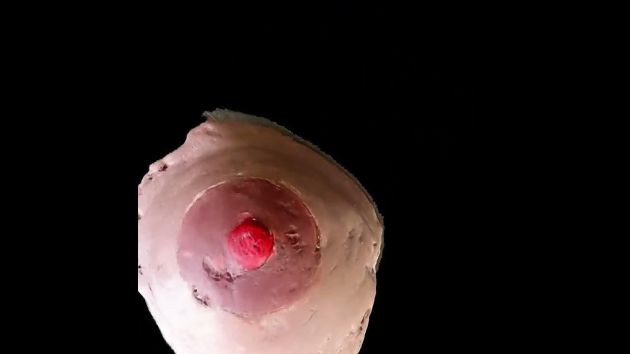 Исток нашей жизни. Фотограф в Омске Екатерина Павлова