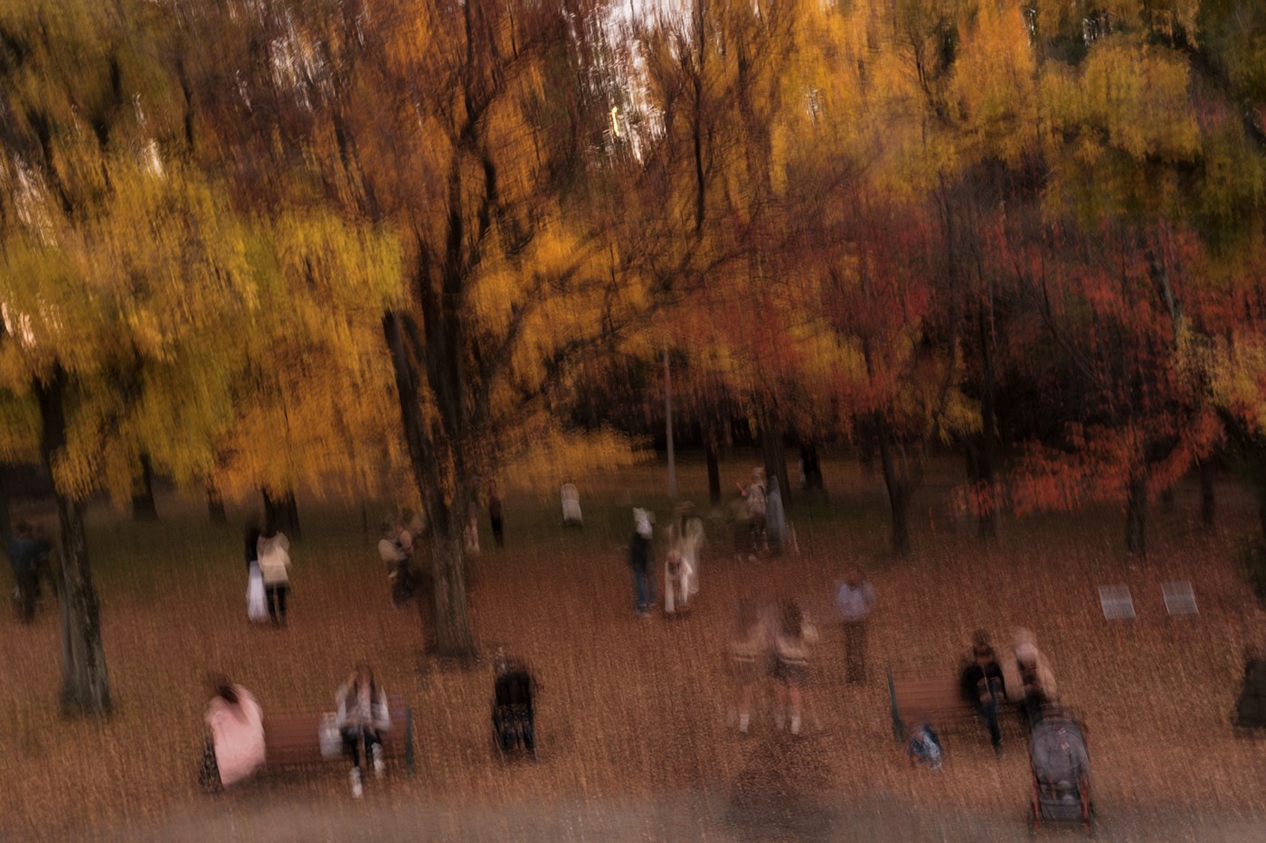 Sensing Japan. Documentary and art photographer Alexey Terentyev