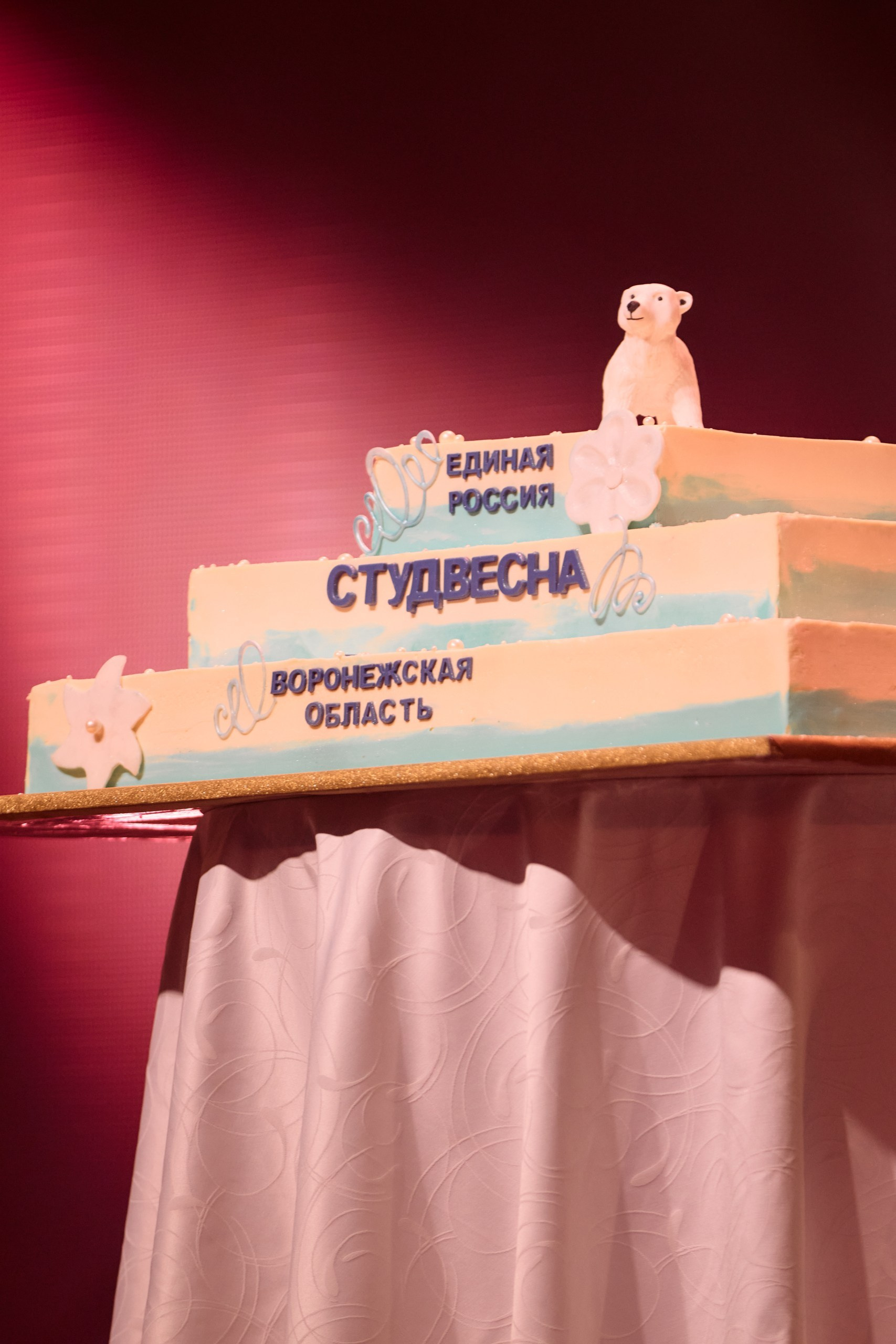 СТУДВЕСНА 2026. Свадебный и репортажный фотограф Дмитрий Кононенко