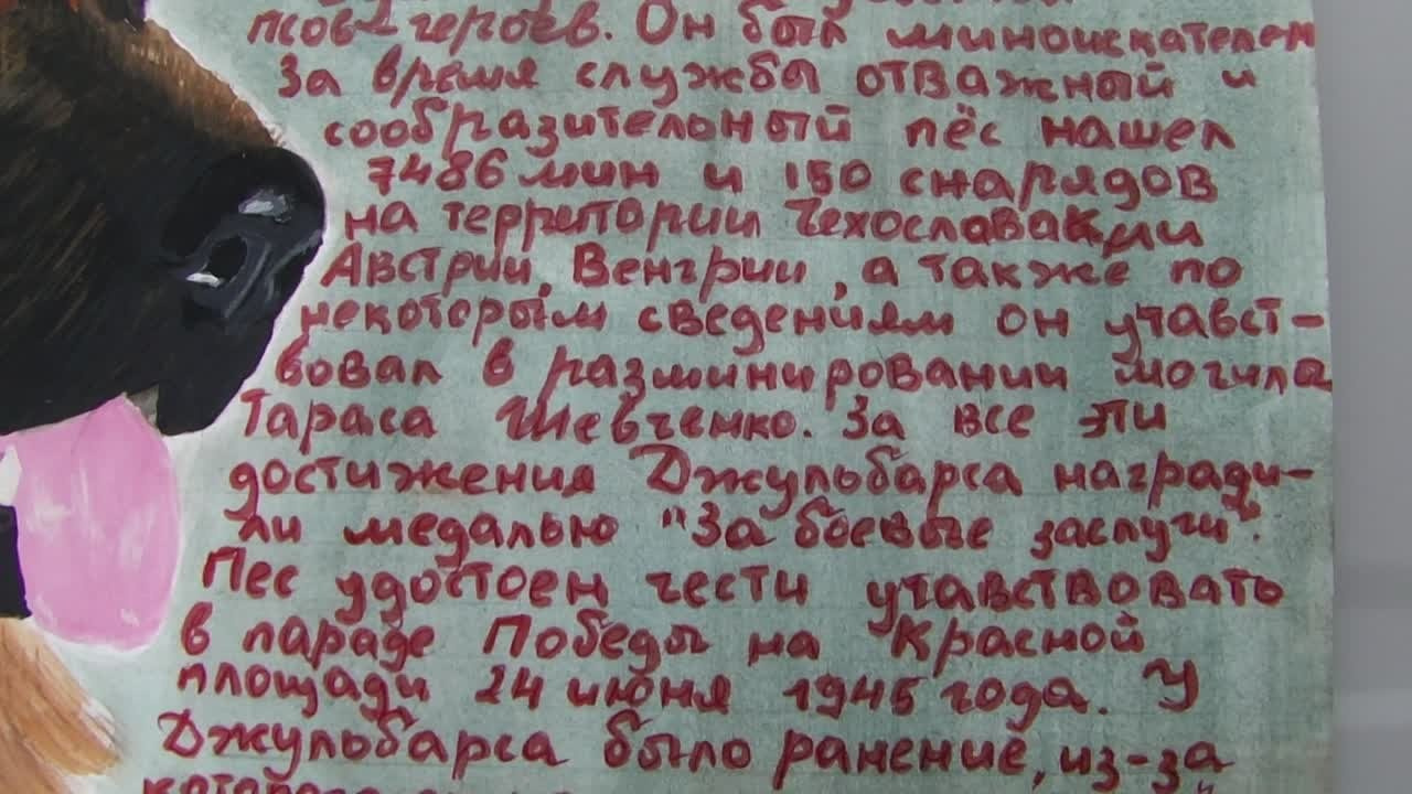 Кинологические старты. НРОО КЦ "Собаковод"