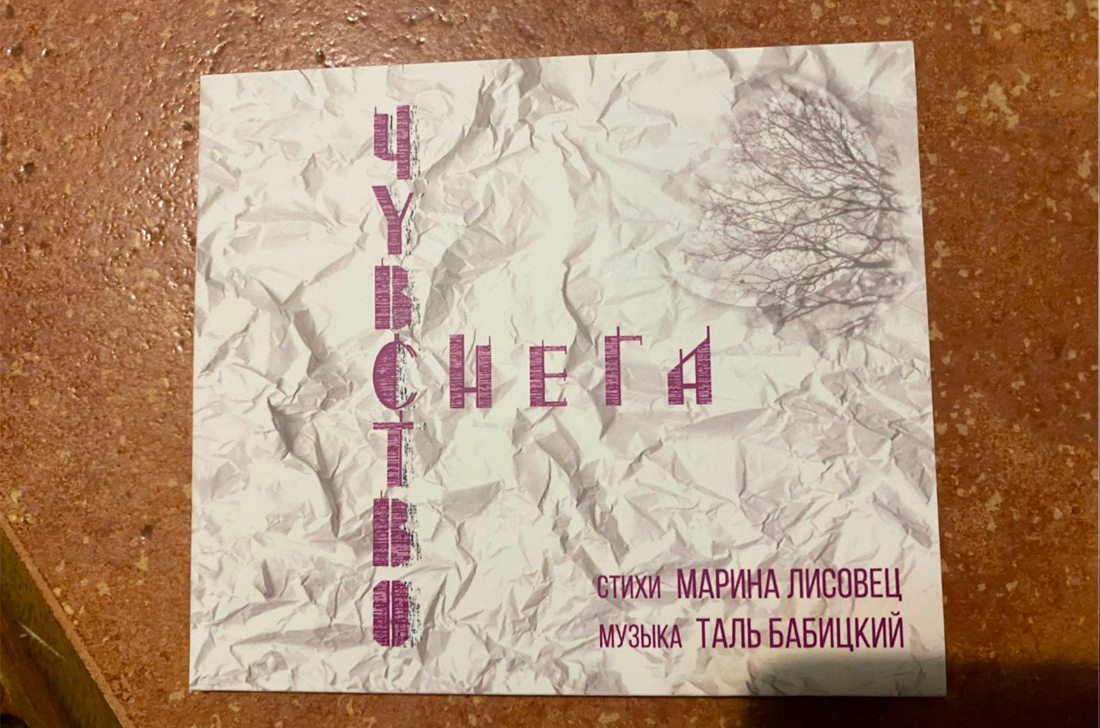 Сотрудничество. Партнёры. Дом Шрёдера