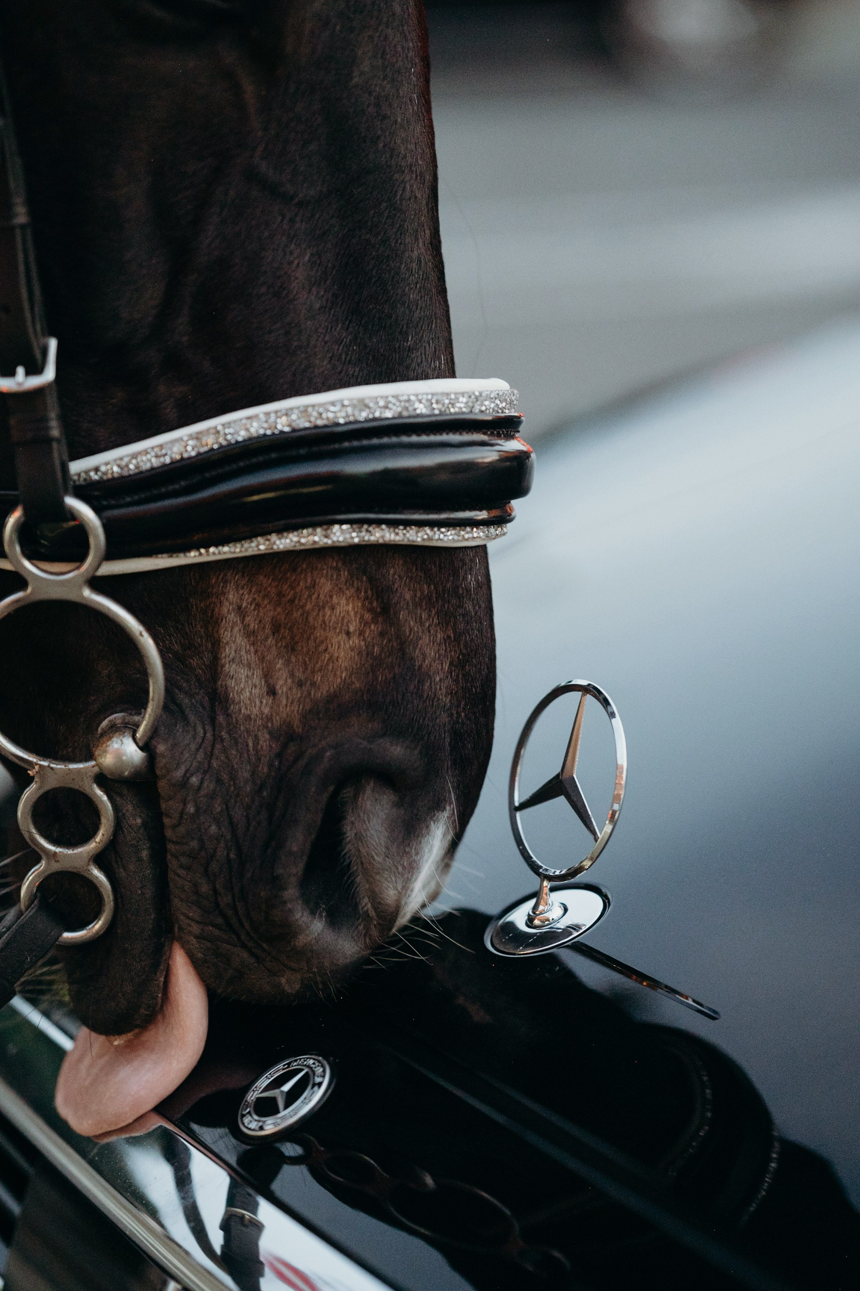 Портреты. Фотограф Элина Брусенцева