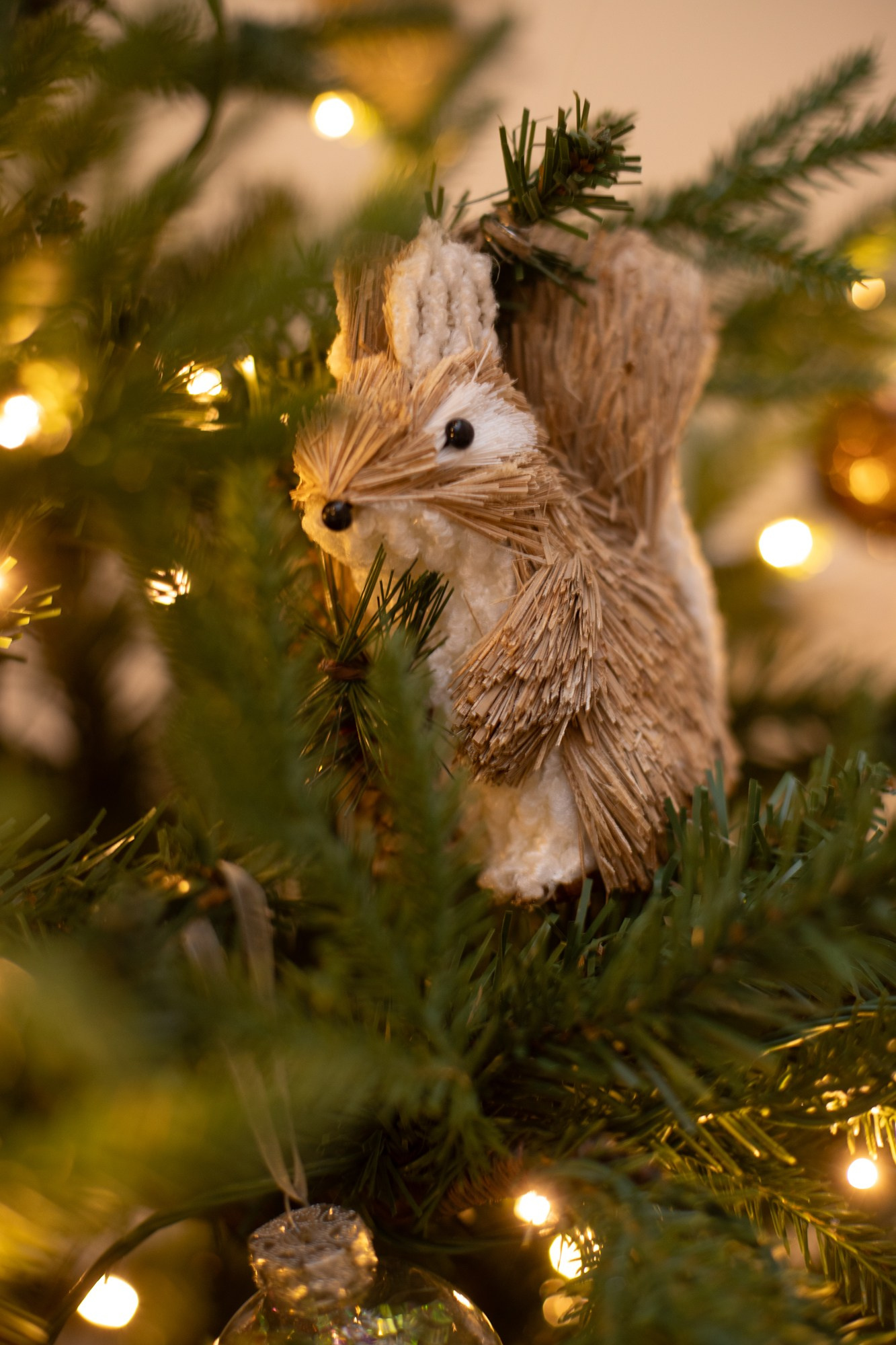 Фотостудия в Минске Neostudio. Фотограф в Минске Людмила Дутко