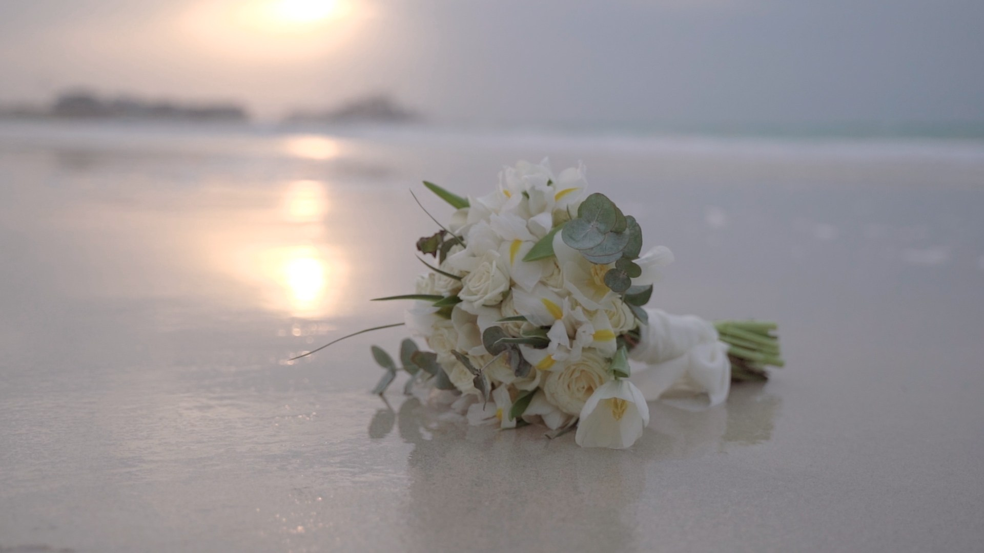 Wedding photographer in Abu Dhabi