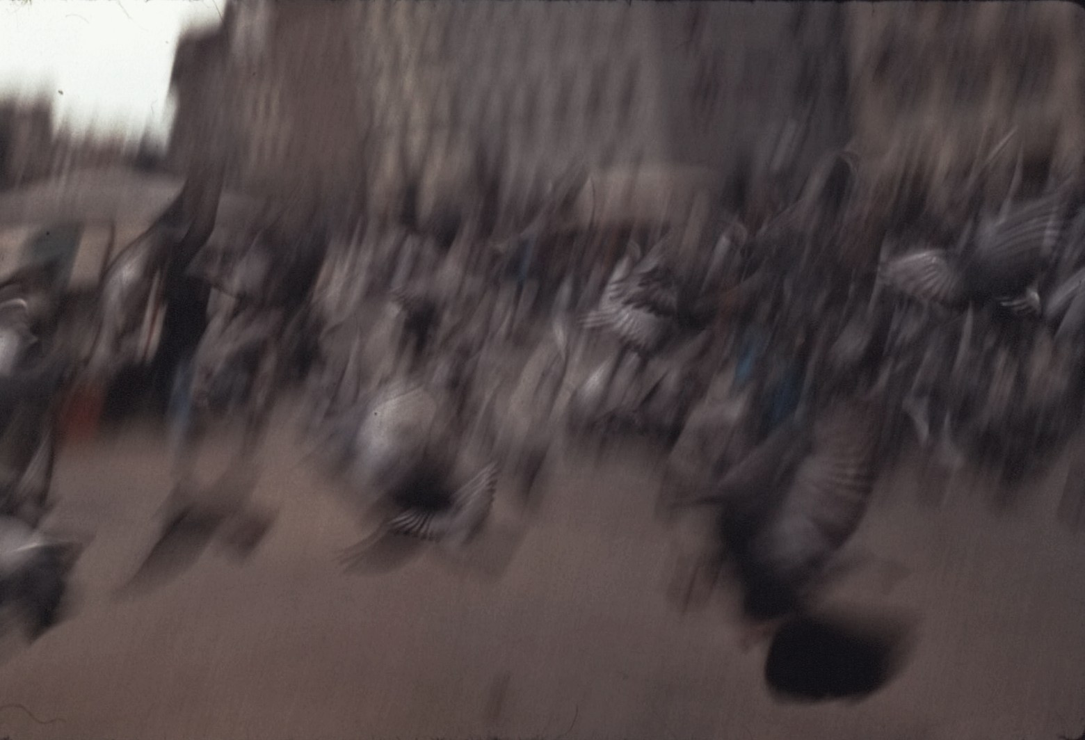 КРАКОВ, ОСЕНЬ 1990. СНИМАЛ ДЕДУЛЯ. Nebyl