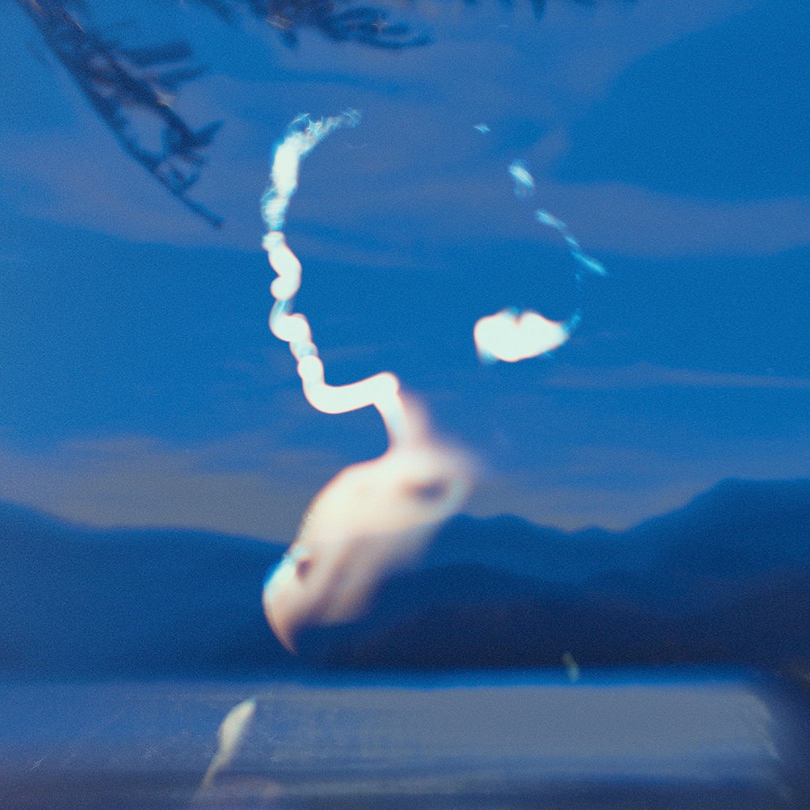 PAST LIVES. Eduard Kopysov — International visual artist