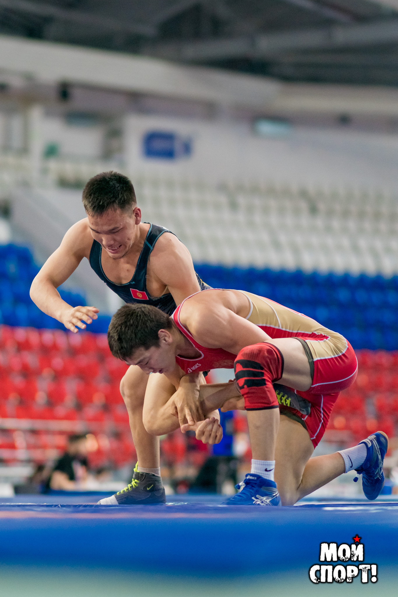 VIII Международный турнир по вольной борьбе памяти Р. Дмитриева. Студия «Мой Спорт!» — все о спорте в Якутии