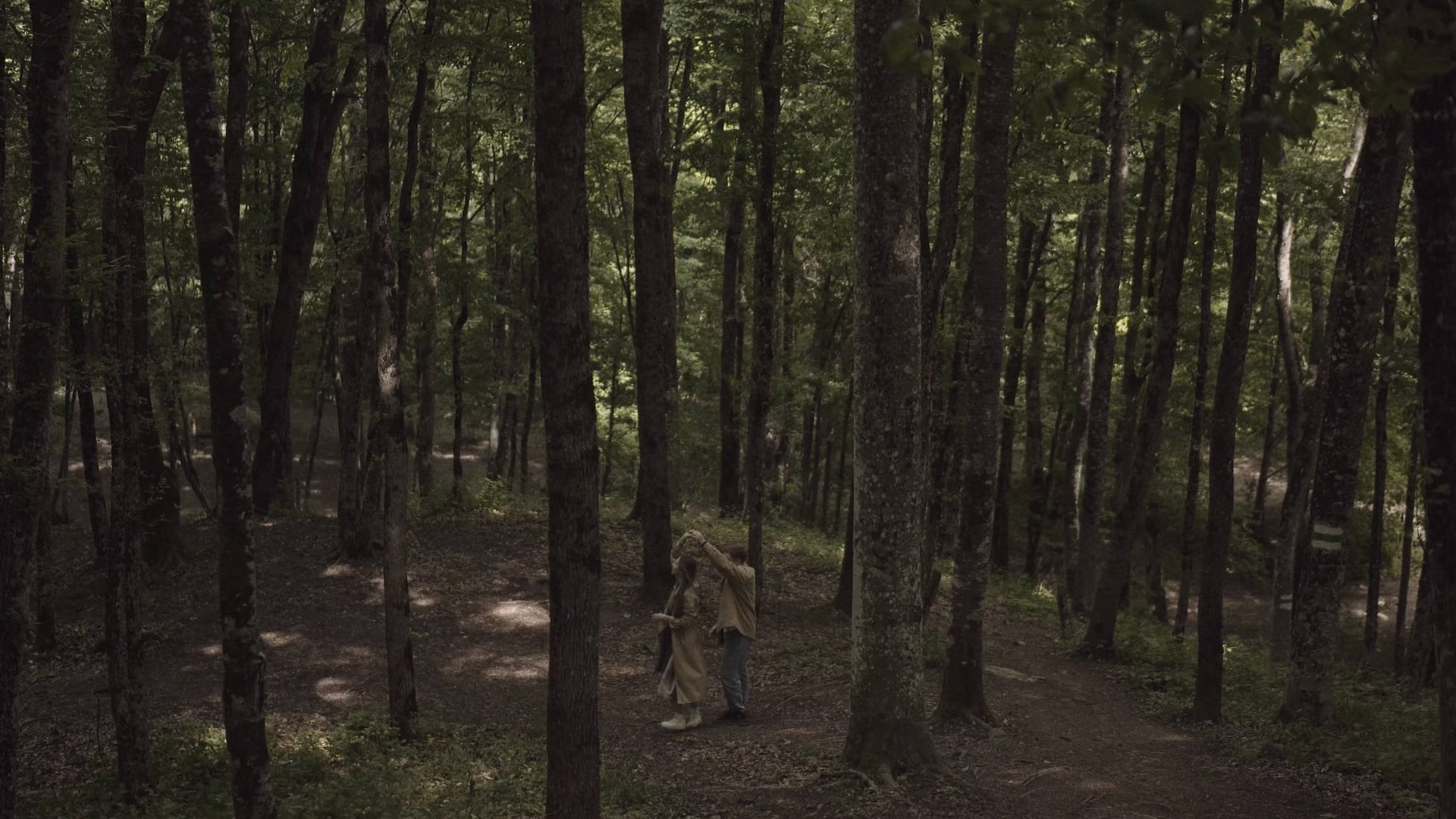 Видеография и фотография. Никита Погосов