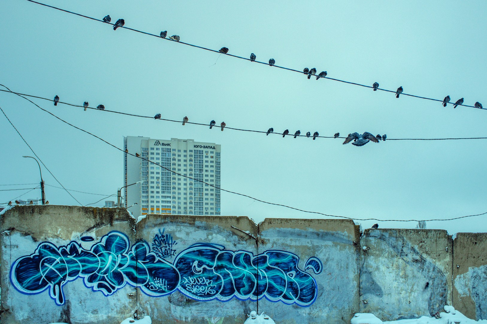 Руслан Шувалов (поэтограф)