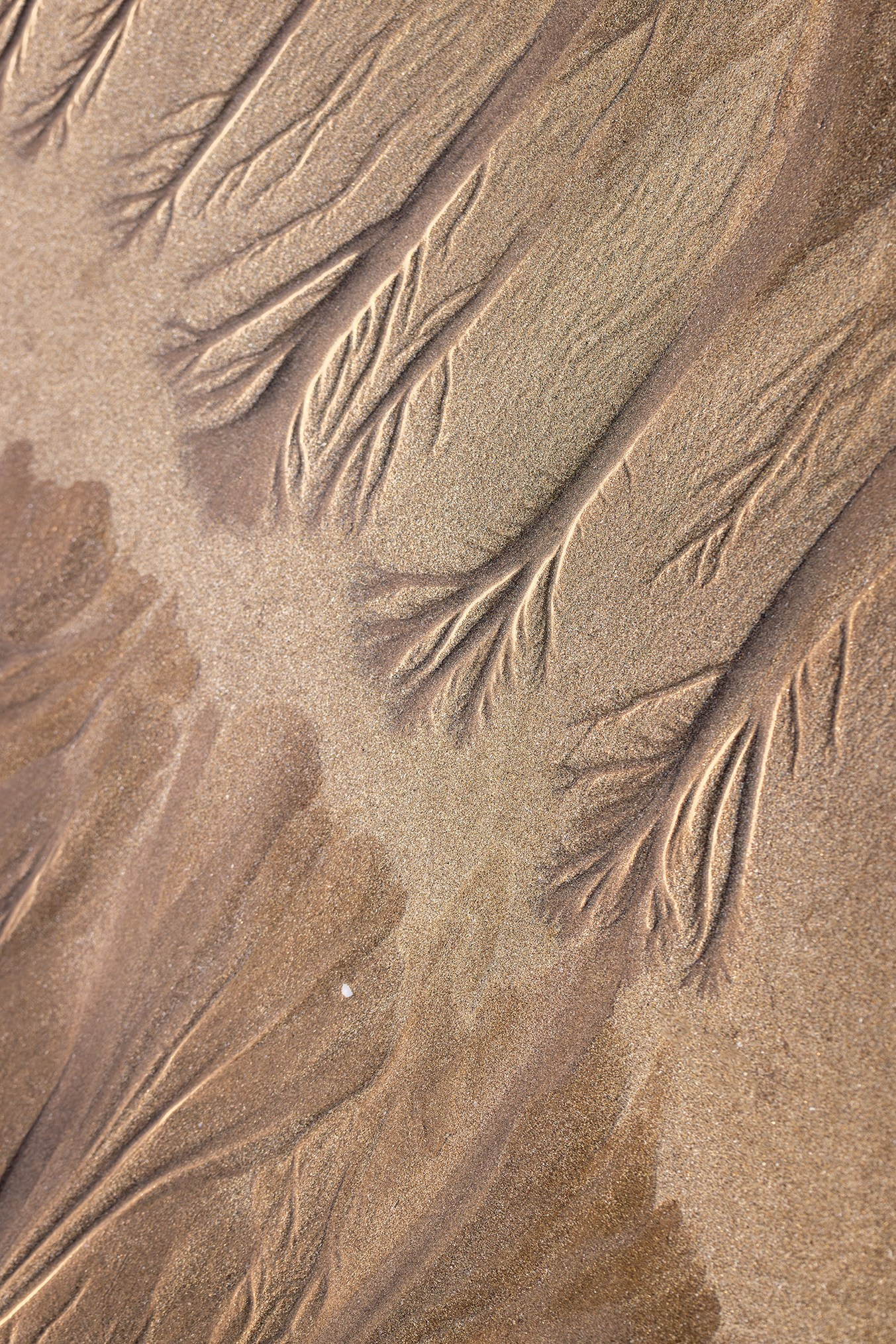 Фактуры. High-quality interior photos for your home, office, hotel