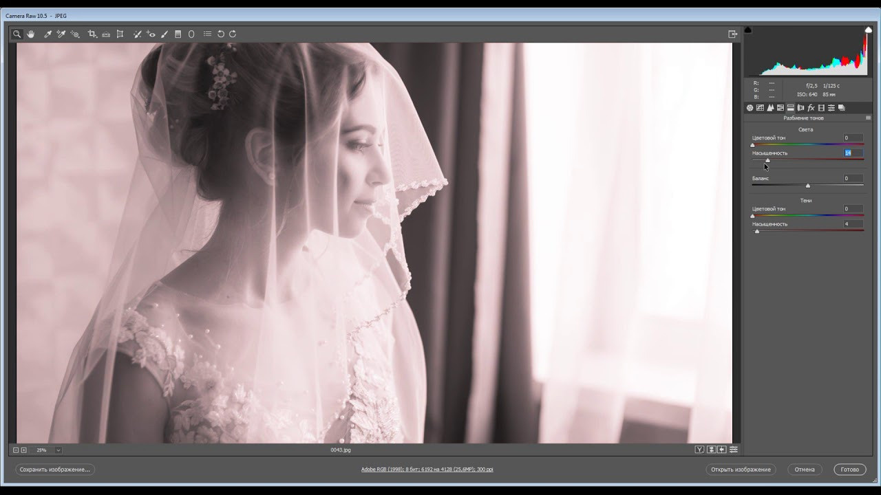 Цена на фотосъемку. Фотограф Алла Елисеева