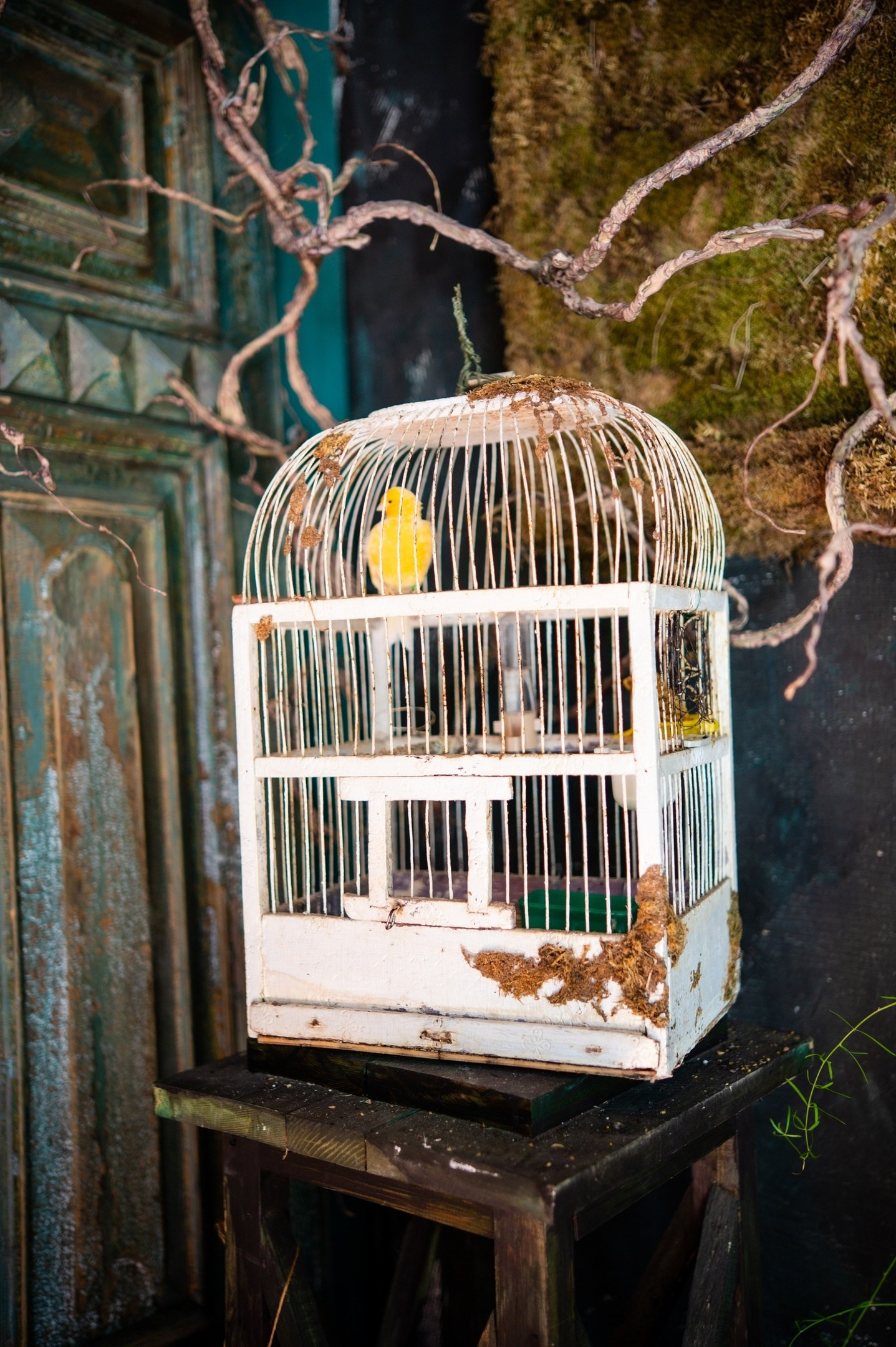 Фотостудии 2025. Свадебный фотограф и видеограф в городе Армавир Katerina Arts