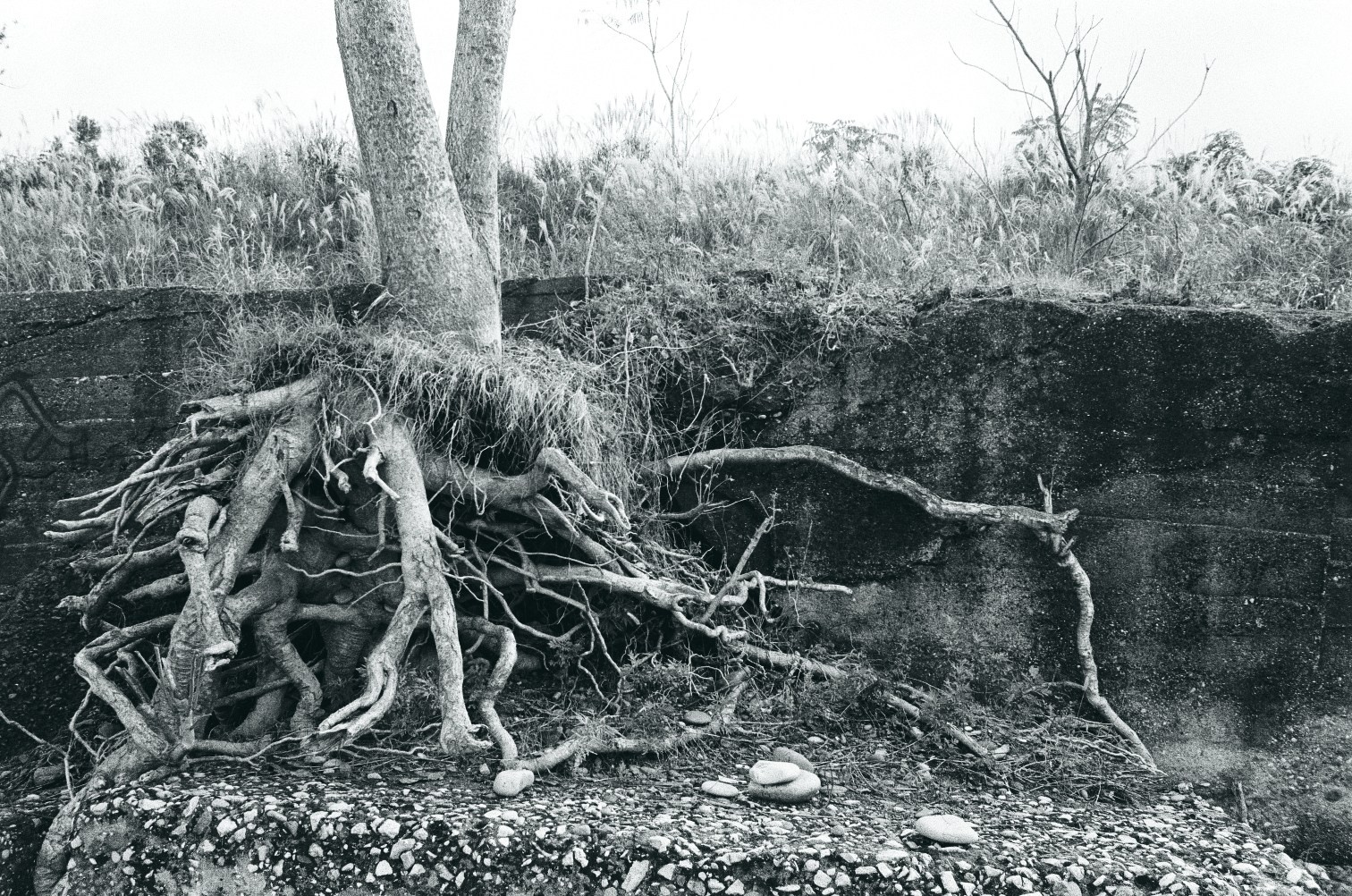 Морские прогулки с Nikon N8008. Artkapella|Олег Кузнецов