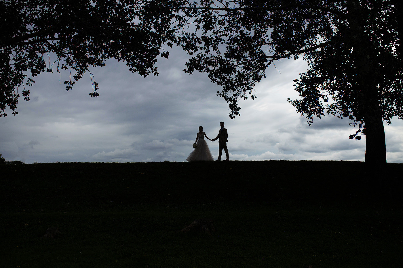 СВАДЕБНАЯ СЪЕМКА. Фотограф во Владимире Татьяна Бабикова