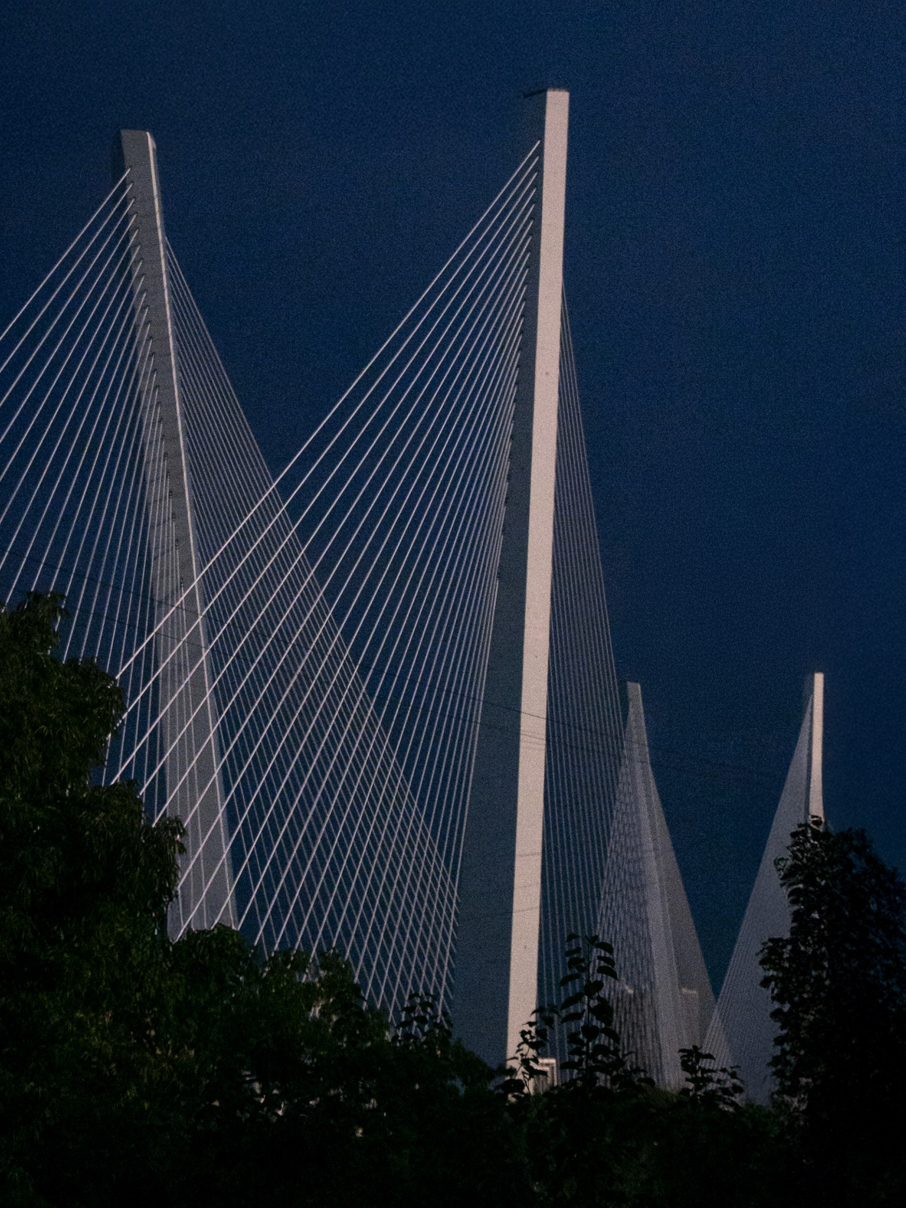 Поп-ап фотограф в Ростове-на-Дону