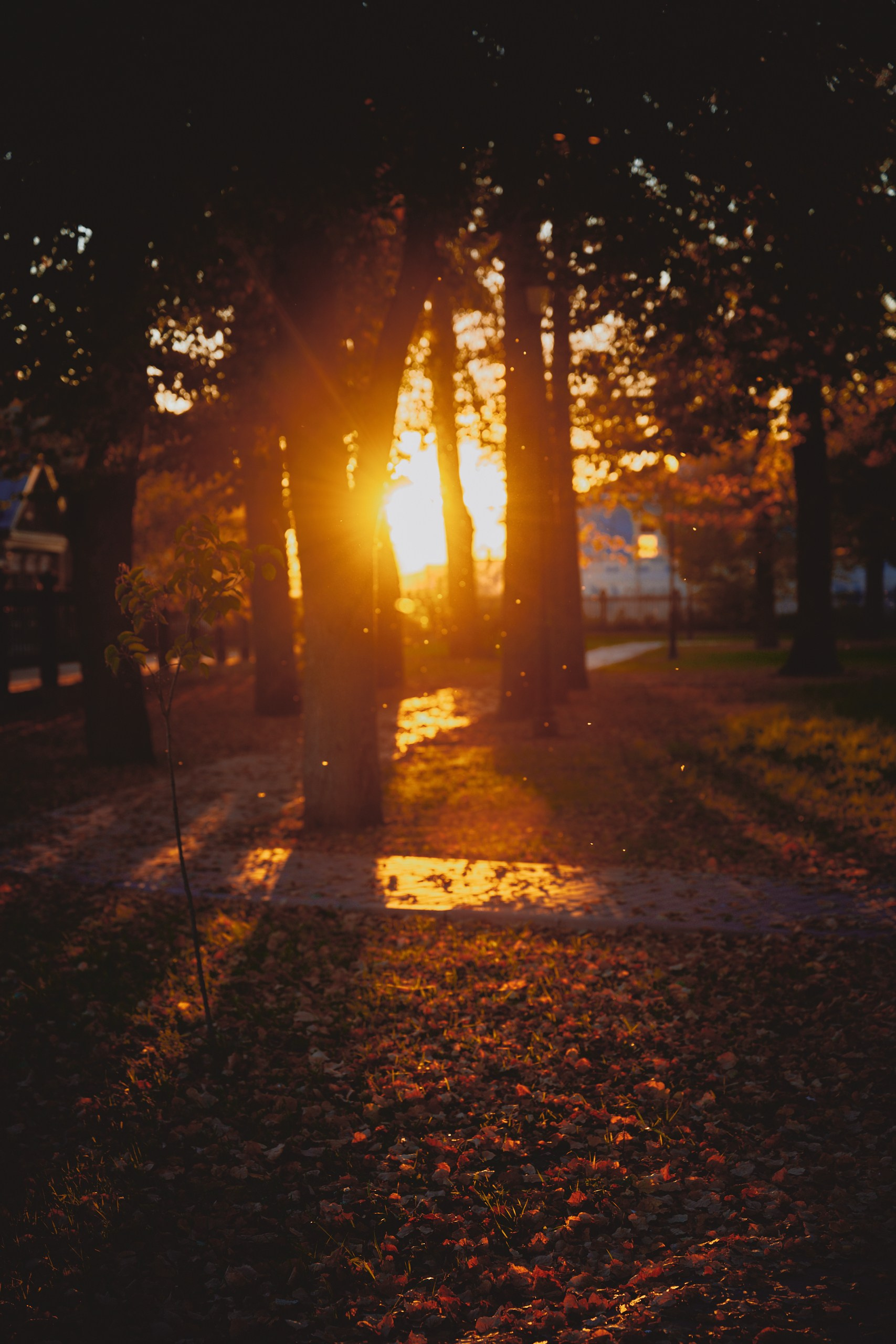 Суздаль — лучший город для свадьб. Фотограф в Иваново: Каталожная съемка одежды и постельного белья, Wildberries