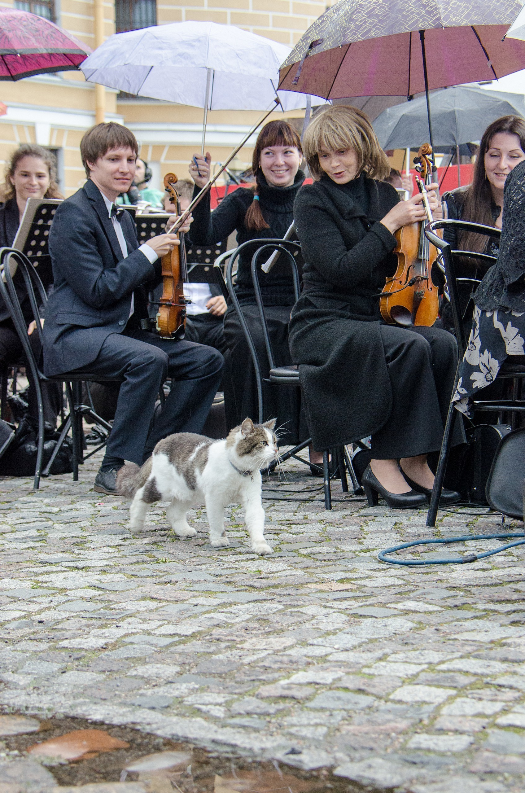 Фотограф Юрий Рефар