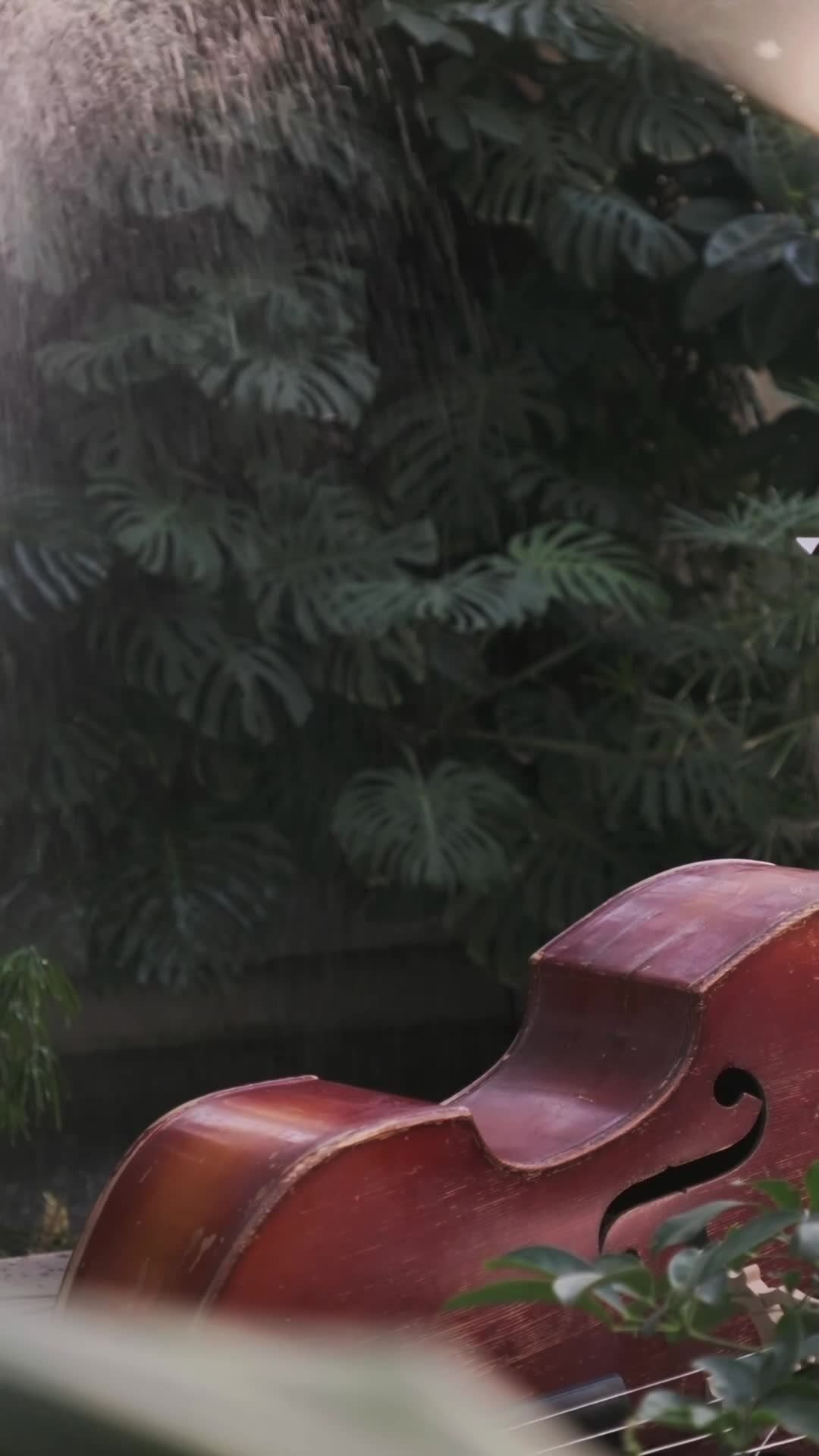 Reels. Свадебный и семейный видеограф в Санкт-Петербурге Яна Чертовская