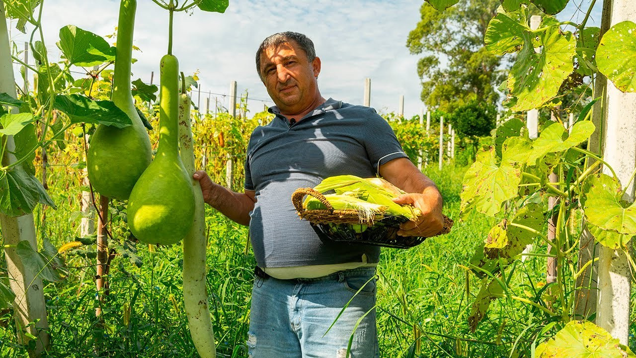 Видео. Фото-ВидеоПродакшен для экспертов и брендов в Москве, Батуми, Дубае