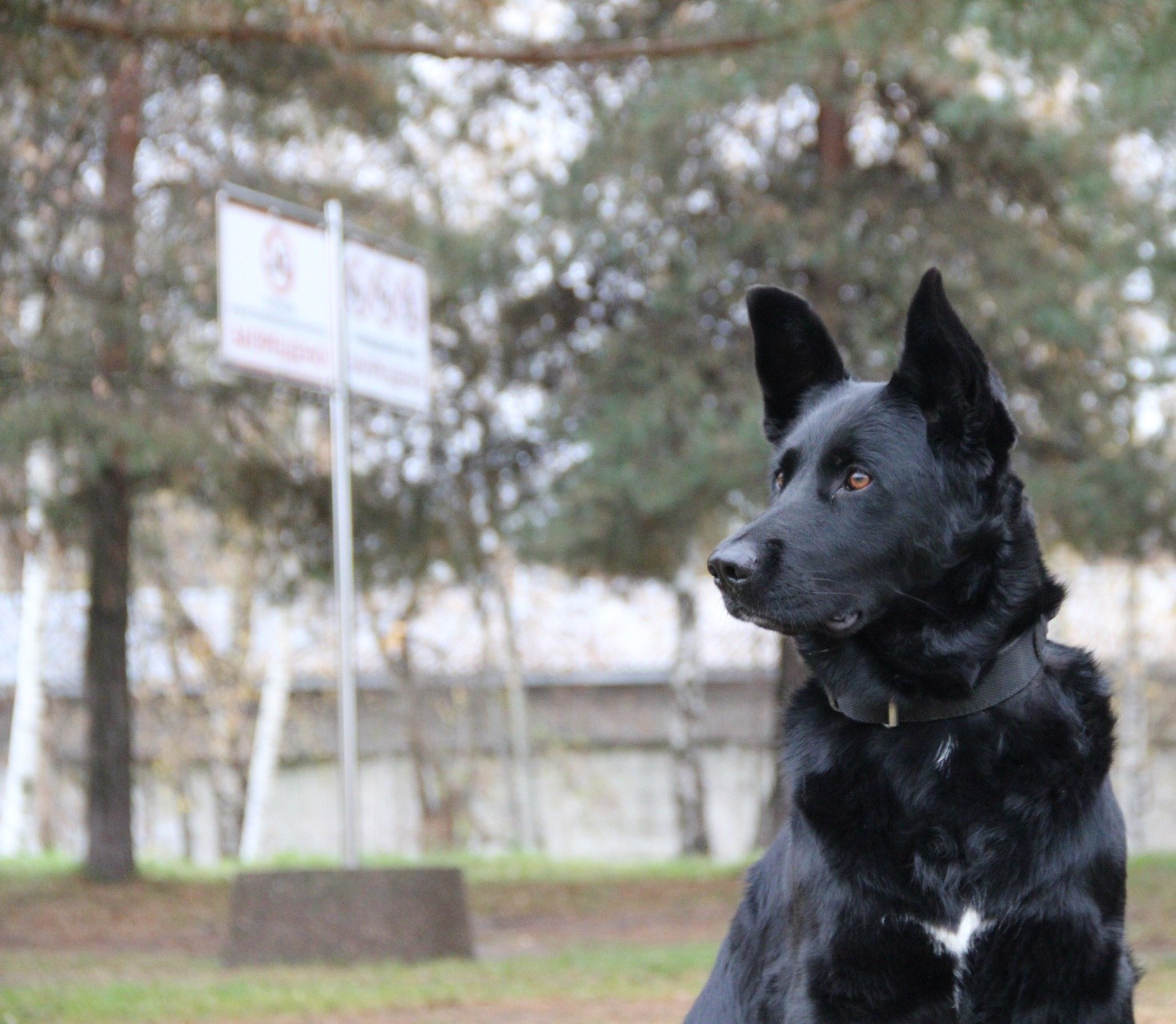 Катя Попова|ЛайфСтайл фотограф