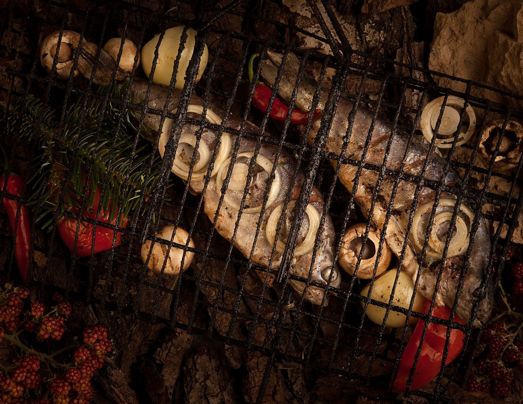 CINARA’S / TASHKENT. UZBEKISTAN