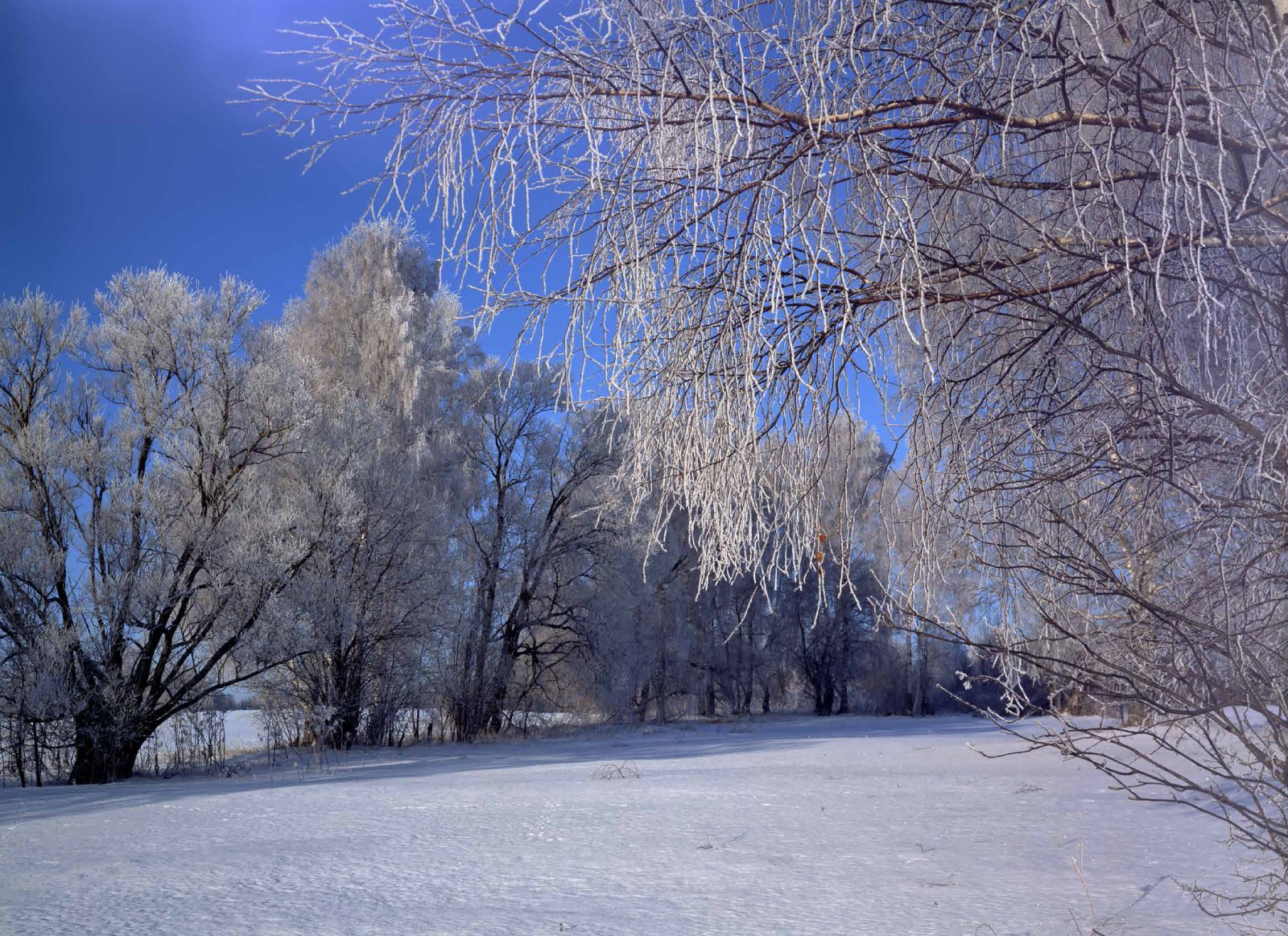 Коллекционные альбомы. ВАДИМ ГИППЕНРЕЙТЕР — ВЕЛИКИЙ ФОТОГРАФ ЗЕМЛИ РУССКОЙ