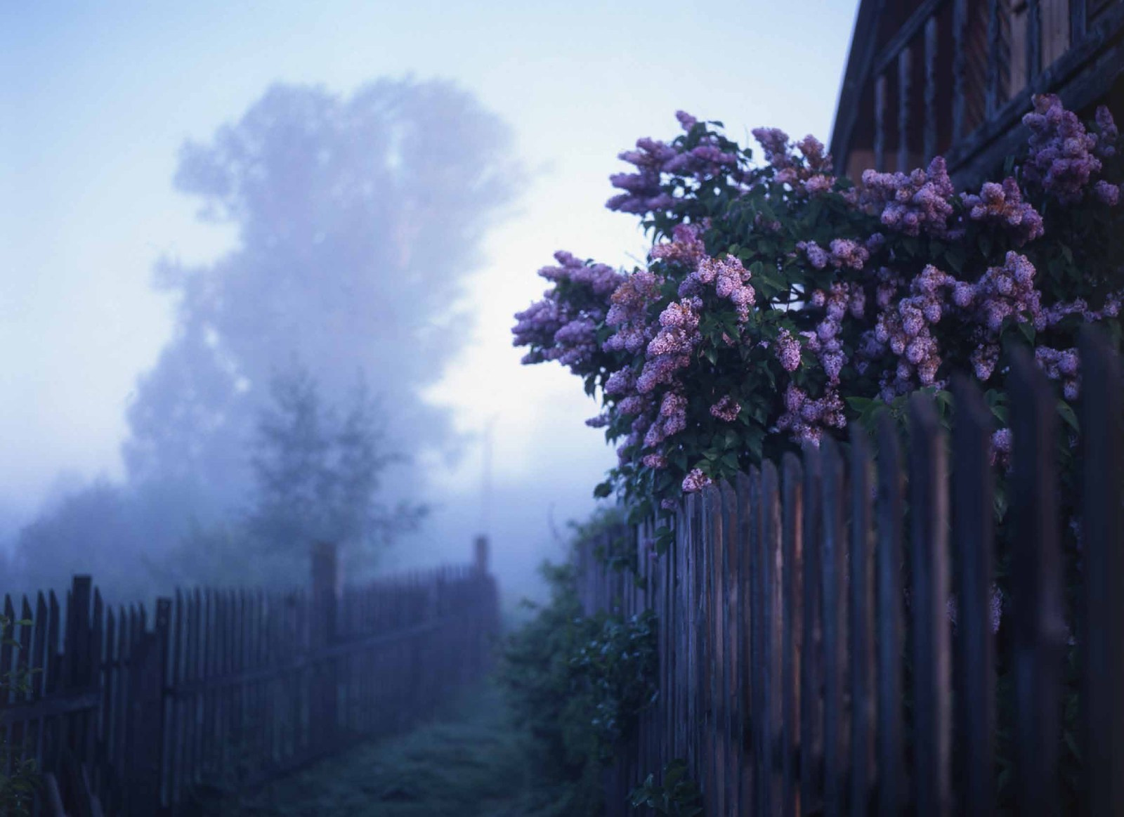 Коллекционные альбомы. ВАДИМ ГИППЕНРЕЙТЕР — ВЕЛИКИЙ ФОТОГРАФ ЗЕМЛИ РУССКОЙ