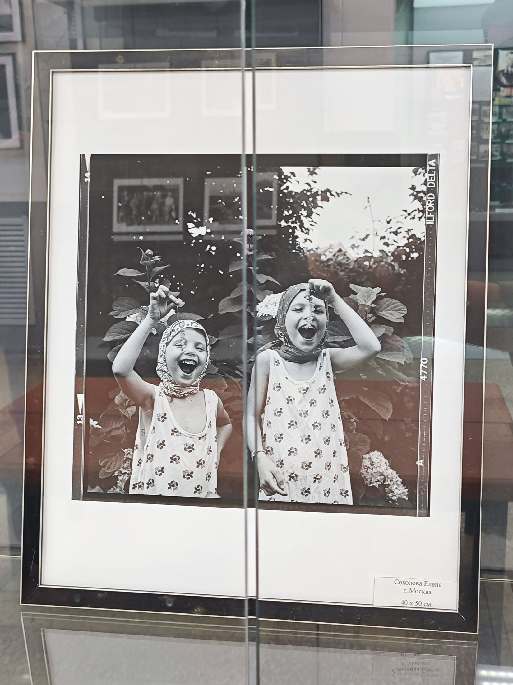 Выставка в г. Крымск. Фотографии Лены Соколовой