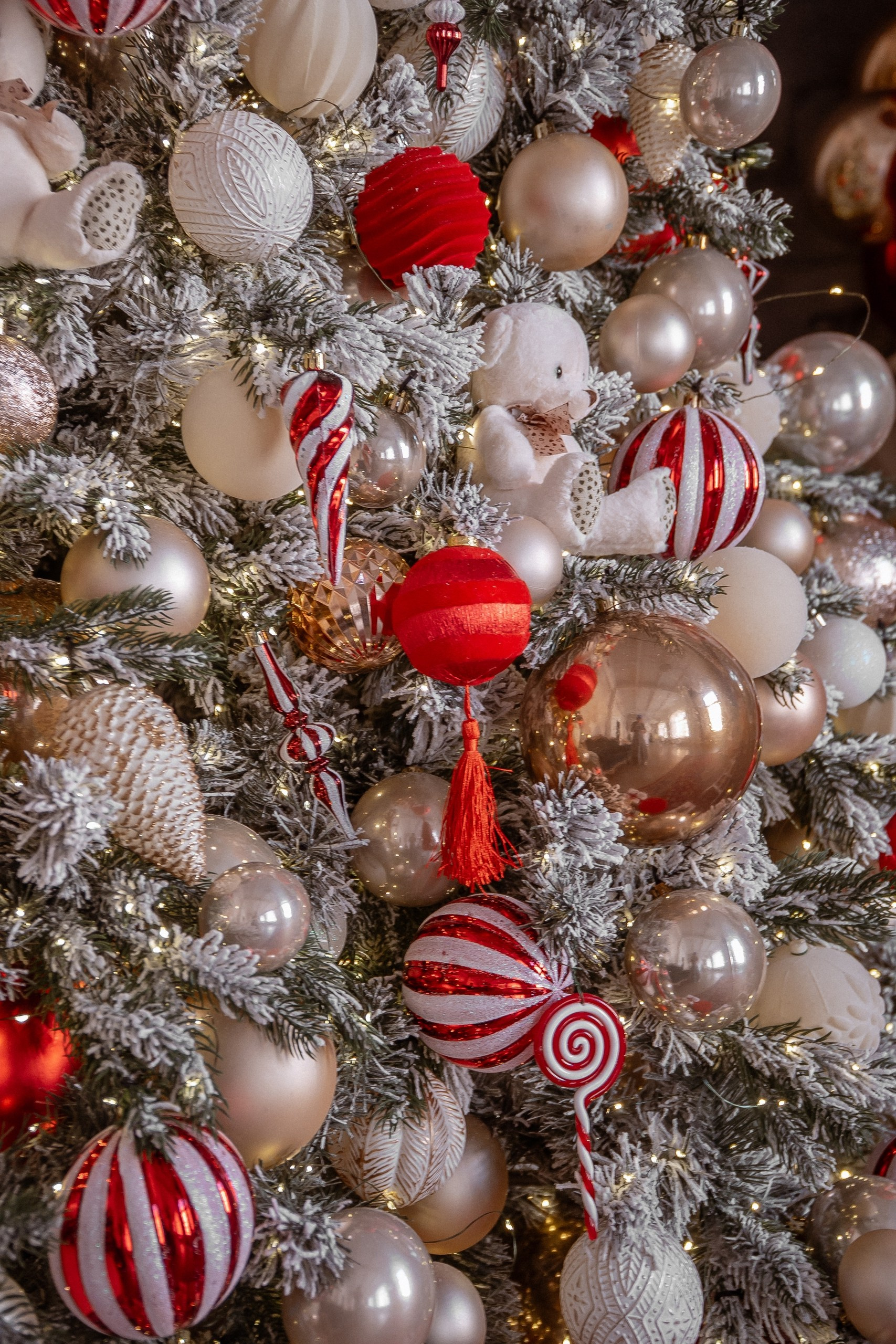 Фотодень «Душа Балета» Санкт-Петербург. Балетный фотограф Алина Ханько — Душа Балета