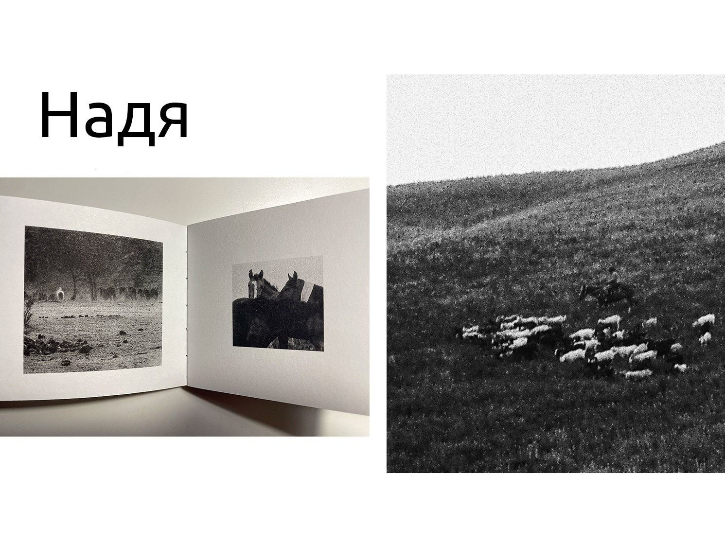 Поиск взгляда. …