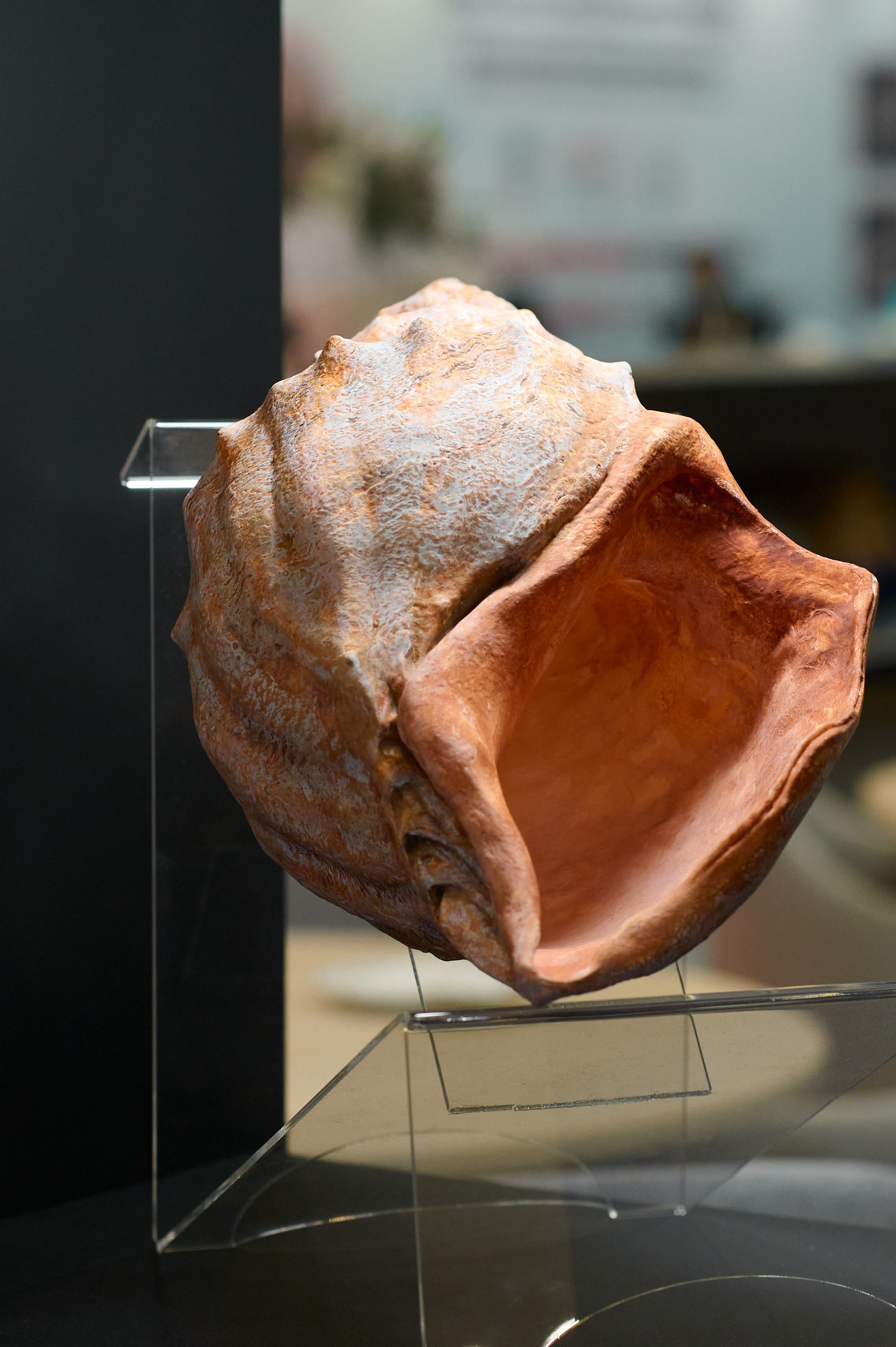 Ракушка на выставке Seafood Expo Russia 2025. Репортажная съёмка в КВЦ «Экспофорум», Санкт‑Петербург.