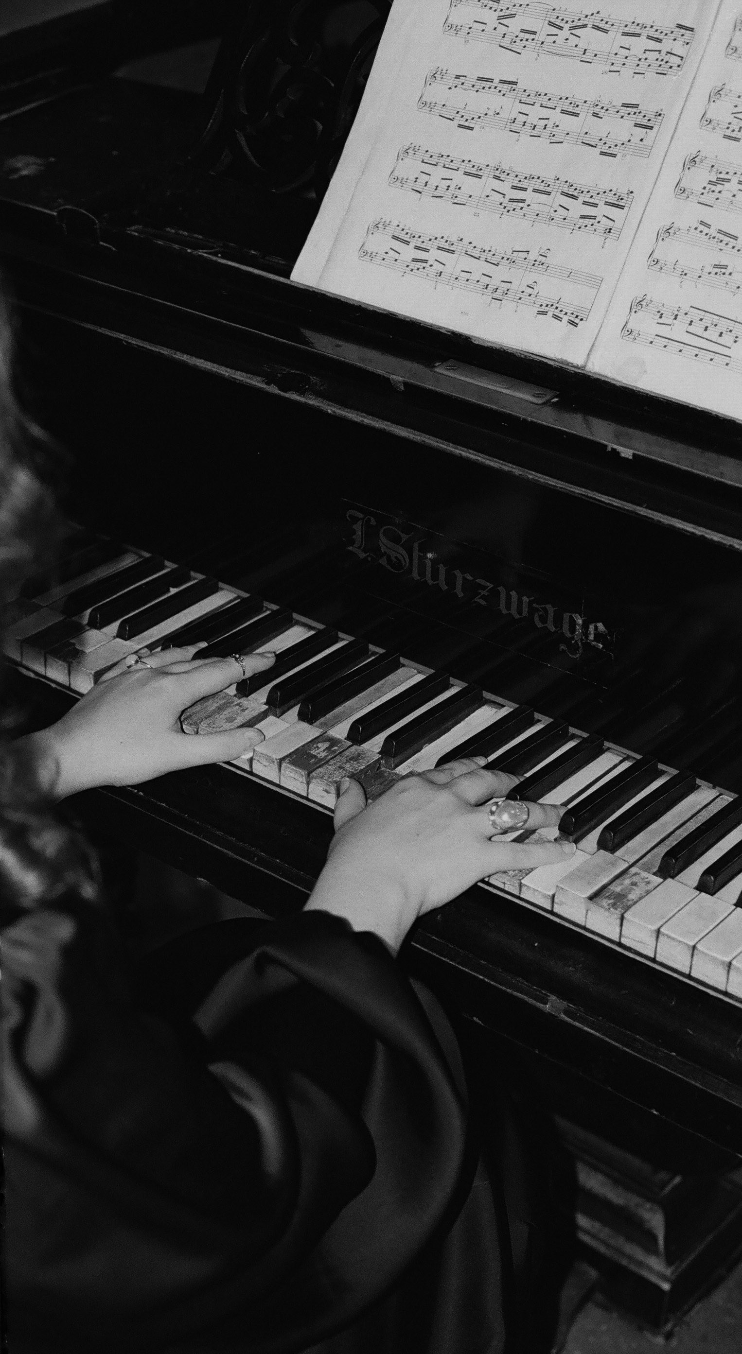 Услуги. Пленочный фотограф