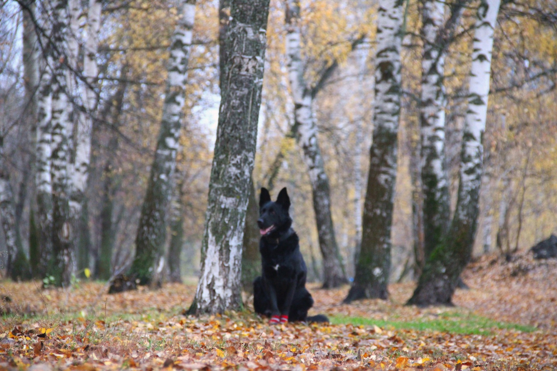 Катя Попова|ЛайфСтайл фотограф