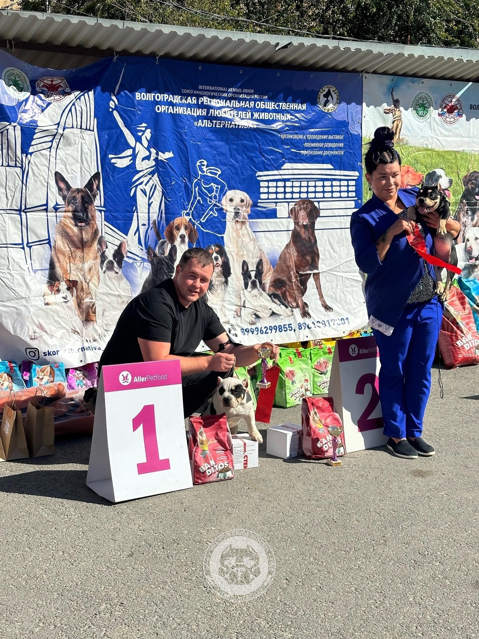 американский булли Юг, американский булли южный округ, лучшие американские булли на юге россии, топовые булли в россии, топовые американские булли в россии, ТОП булли, Топ американский булли, самые крутые американские булли, булли клаccик, булли покет, булли стандарт, булли экзот, булли xl, амeриканский булли, щенок булли, американский булли питомник, американский булли купить, американский булли щенок, американский булли москва, американский булли ростов-на-дону, американский булли краснодар, американский булли ставрополь, американский булли волгоград, американский булли семфирополь, американский булли ставрополь, американский булли сочи, американский булли воронеж, американский булли питер, американский булли санкт-петербург, американский булли Казань, американский булли Новосибирск, американский булли Челябинск, американский булли Ростов, американский булли Луганск, американский булли Донецк, американский булли покет, американский булли классик.американский булли ,американский булли щенки , американский булли купить ,американский булли фото , американский булли покет , собака американский булли , порода американский булли , американский булли цена , купить щенка американского булли ,американский булли характеристика , порода собак американский булли, питомник американских булли , американский булли отзывы, американский булли стандарт , американский булли отзывы владельцев, американский булли xl , россия американские булли , американские булли москва , американский булли вес , американский булли цена щенка, американский булли породы собак сша , американский булли размеры , американский булли классик , американский булли классика , американский булли характеристика породы , авито американский булли , сколько стоит американский булли , окрасы американских булли , американский булли виды , американский булли типы , американский булли цена в россии , американский булли экзот , американский булли микро , американский булли мини , собака американский булли фото , американский булли спб , американский булли характер , минусы американского булли , купить американского булли в москве , американские булли сколько щенков , плюсы американского булли , американский булли плюсы и минусы , взрослый американский булли , американский булли фото цена , американский булли фото щенков , американский булли крым , сколько живут американские булли , американский булли описание , американский булли купить авито , американский булли ростов , собачий питомник , питомник для собак , собаки , порода , щенки, щенок для детей, щенок для ребенка, щенок для семьи, собака для ребенка, питомник BULLY LOVERS, питомник THE POWER OF SIBERIA, питомник Ultimate Bully, питомник FORTIS FORTUNA VALIDI, питомник EXTREME BEAR, питомник American Dream, Питомник RUSSIAN BULLS, питомник ТАРУС & BULLY LAND, питомник Bully Ranch P&N, Питомник ANTREABULLS, питомник Ambully House, питомник Mar Nero, питомник Alfabulls, #micro #microbully #ambully #ambullys #ambullylife #ambullyforlife #ambullyworld #ambullylove #ambullylover #ambullylovers #ambullyloversfans #americanbullybreed #americanbullykennelclub #американскийбуллипитомник #bullies #bulliesallday #bulliesofig #bulliesofinsta #bulliesofinstagram #instabullies #bullieslife #bullymag #americanbully_feature #americanbullydog #tribullies #americanbullyblue #americanbullytricolor #bullystick #americanbullyStud, американский булли,американский булли щенки,американский булли купить,американский булли покет,американский булли фото,собака американский булли,порода американский булли,американский булли цена,американский булли купить щенка,американский булли характеристика,порода собак американский булли,американский булли отзывы,питомник американских булли,американский булли стандарт,американский булли отзывы владельцев,россия американские булли,американский булли виды,американский булли цена щенка,сколько стоит американский булли,американский булли цена в россии,американские булли москва,американский булли xl,американский булли размеры,типы американских булли,американский булли мини,американский булли вес,авито американский булли,американский булли породы собак сша,американский булли микро,американский булли характеристика породы,американский булли экзот,американский булли классик,американский булли классика,собака американский булли фото,американский булли характер,минусы американского булли,американские булли спб,американский булли окрасы,американский булли купить в москве,американские булли сколько щенков,плюсы американского булли,американский булли видео,американский булли плюсы и минусы,американский булли щенок фото,взрослый американский булли,американский булли девочка,американский булли описание,сколько живут американские булли,американский булли покет купить,американский булли крым,american bully,american bully ru,american bully ru shchenki,https american bully ru,https american bully ru shchenki,american bully xl,american bully питомник,american bully dog,american bully kennel,american dream bully,american bully pocket,american bully kennel club,all american bully фильм смотреть,american bully xxl,reddit american bully,american bully ru shchenki html,american bully wise,celina innovations crochet american bully part,https american bully ru shchenki html,american bully classic,питомник американских булли,питомник собак американский булли,питомник американских булли в крыму,питомник собак в крыму американские булли,питомник в крыму американский булли последние,питомник американских булли в москве,американские булли купить питомник,питомник американских булли в россии,питомник американских булли покеткупить щенка американский булли питомник,американские булли цена питомники,питомник американских булли в спб,питомник американских булли яна,купить американского булли в москве питомник,питомник американских булли в москве и московской,официальные питомники американских булли,крым питомник американских булли яна,булли американский купить питомник цена,москва и область питомники американских булли,питомник американских булли яна и гоша,американские булли подмосковья питомник,американский булли стандарт питомник,питомник американских булли екатеринбург,питомник американских булли ростов,лучшие питомники американских булли,питомник собак крым американский булли яна,яна питомник собак американский булли,американский булли купить в спб питомник,американский булли питомник львиное сердце уфа,американский булли питомник львиное сердце уфа вк,американский булли лучший питомник россии,американский булли питомник краснодар,американский булли купить спб щенка питомник,американский булли покет питомник москва,американский булли сайт питомник,питомник американский булли официальный сайт,питомник американских булли в челябинске,питомники американских булли в россии список лучших,питомник собак американских булли серпухов,питомник собак дзен американский булли,американский булли xl питомник,питомник американских булли в талдоме,питомник и цена американ американский булли,фаворит гигант питомник американских булли,американский булли купить,американский булли купить щенка,американский булли купить в москве,американский булли покет купить,американский булли купить щенка в москве,американский булли купить авито,купить американский булли цена,купить американского булли в спб,купить собаку американский булли,американский булли купить щенка цена,американский булли покет купить щенка,американский булли купить в беларуси,американский булли стандарт купить,американский булли купить москва московская область,купить американского булли в россии,купить американского булли в московской области,американский булли купить в екатеринбурге,американский булли купить в новосибирске,американский булли купить щенка в спб,