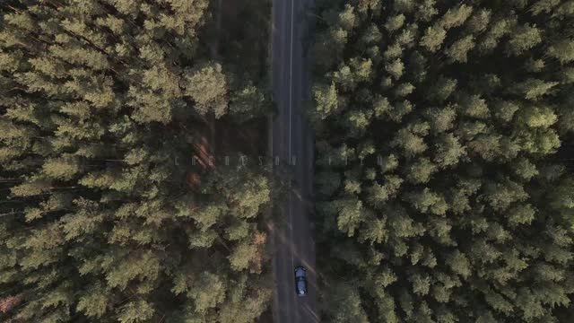 Свадебная и ивент видеосъёмка в Москве