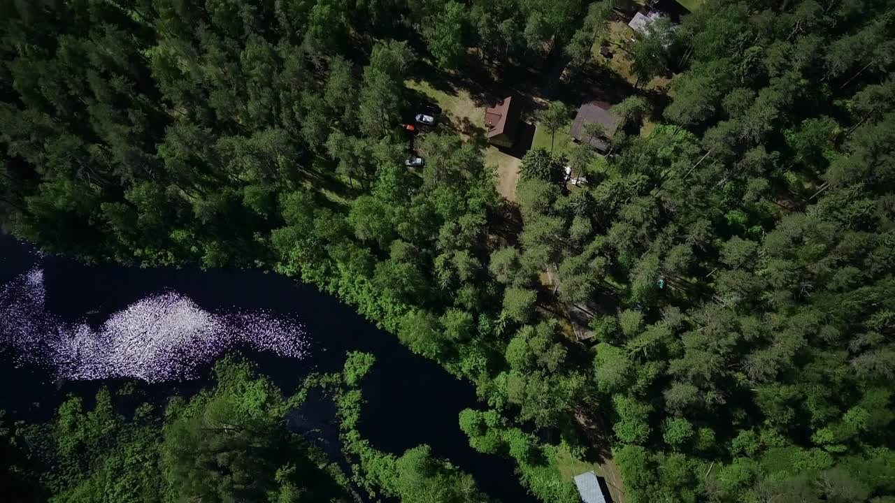 Видео для бизнеса. Видеограф Сергей Болотов
