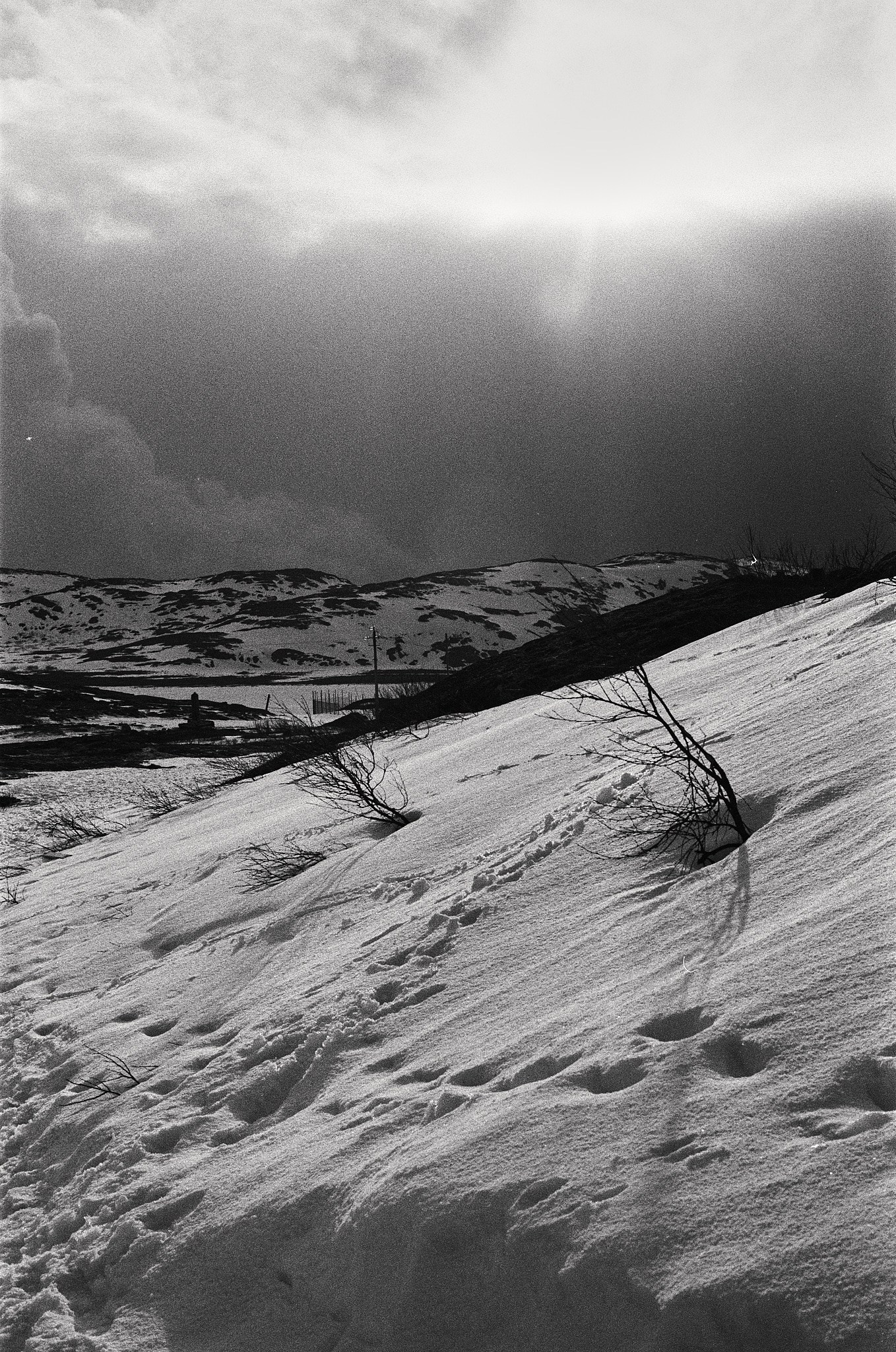 Teriberka (Murmansk). The Other Pavel Potseluev — film photography and mastery of meat business