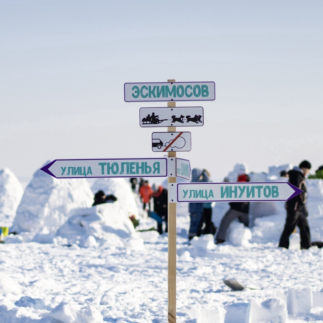 Детские программы Школа безопасности Новосибирск