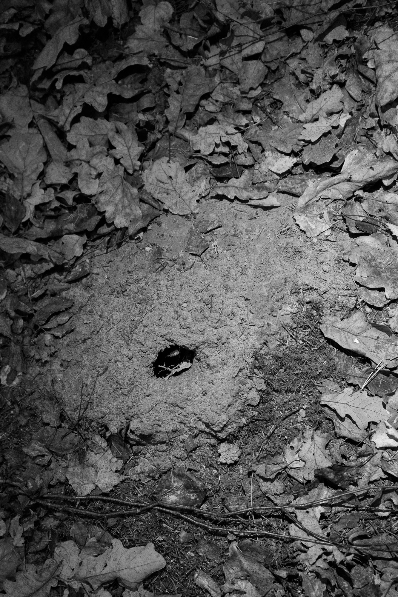 Пограничье. Юлия Леонова — фотограф, визуальный художник Минск