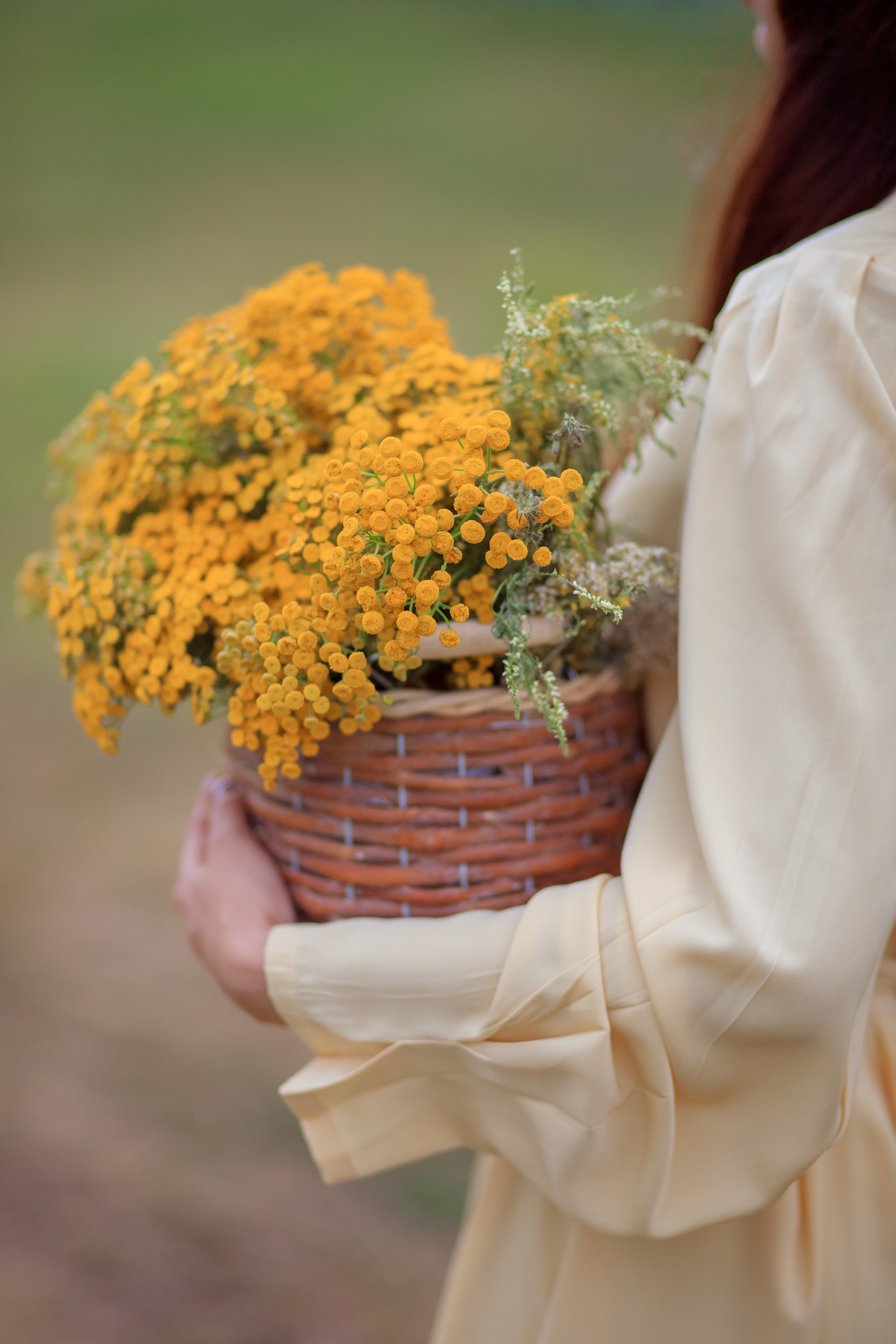 ЦЕНЫ — УСЛУГИ. Семейный и детский фотограф в Краснодаре Лафета Алена