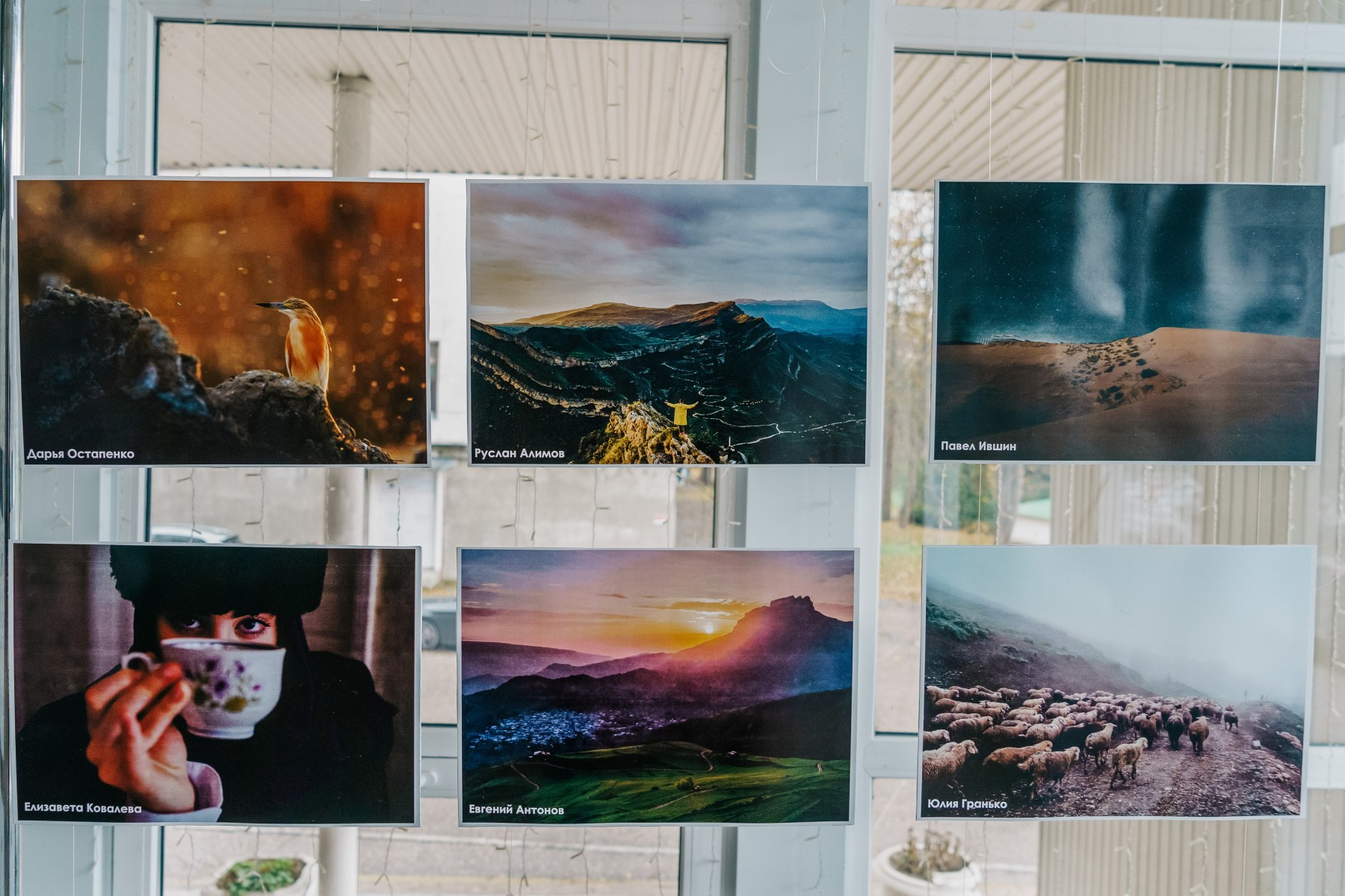 В Крыму состоялось открытие фотовыставки «Заповедный Дагестан». Репортажный фотограф в Крыму Ксения Гасица