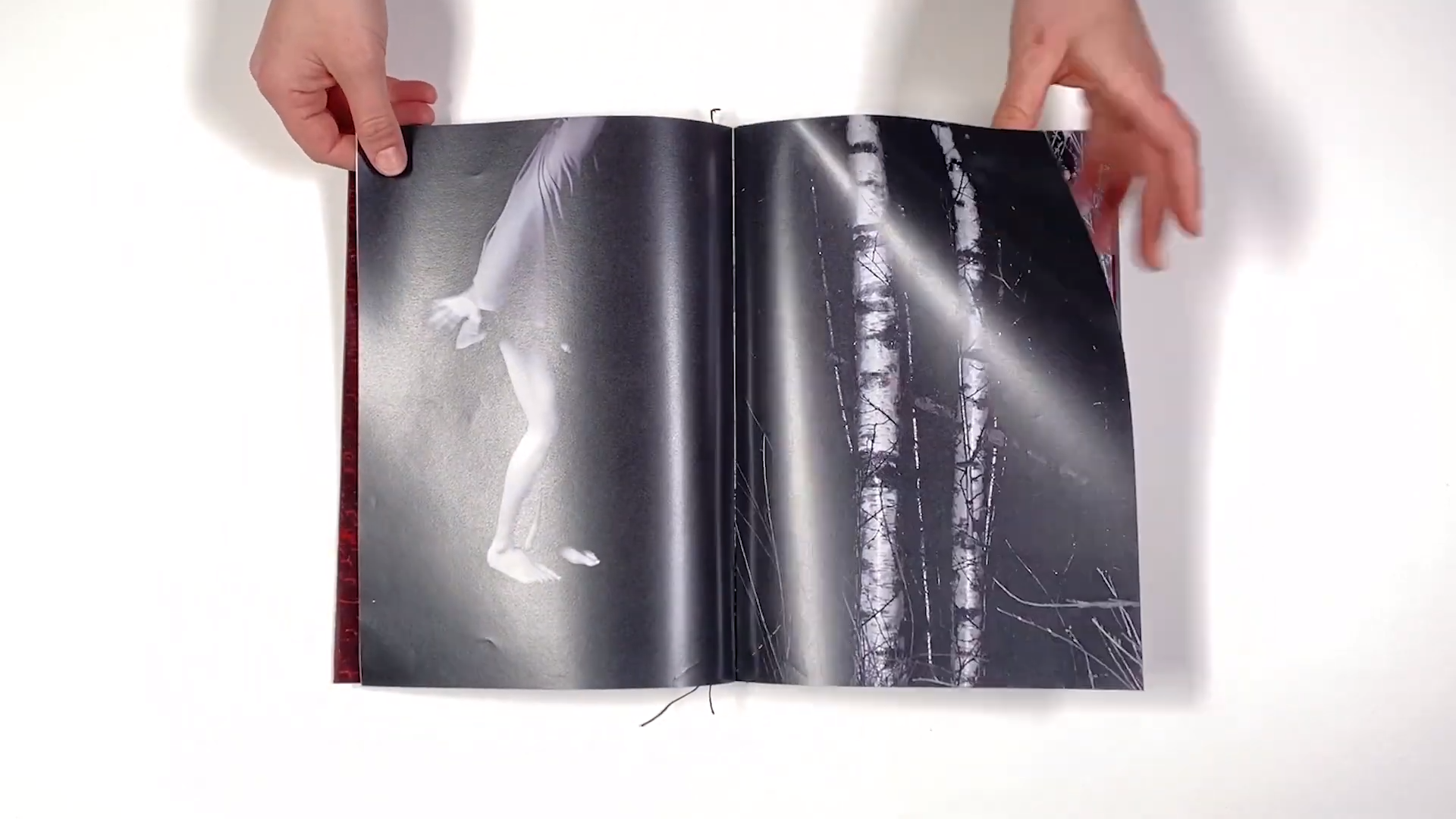 Фотокнига «Solstice» художницы Джулии Боле (Julia Bohle). Private image