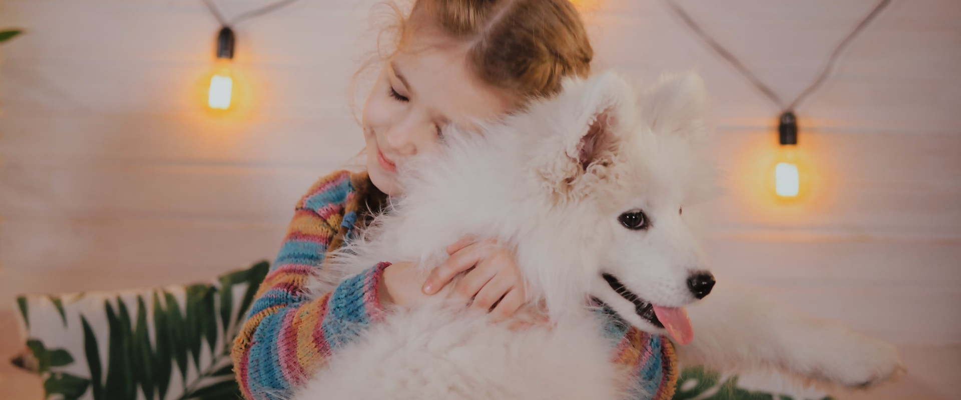 Производства. Видеограф Турчин Денис