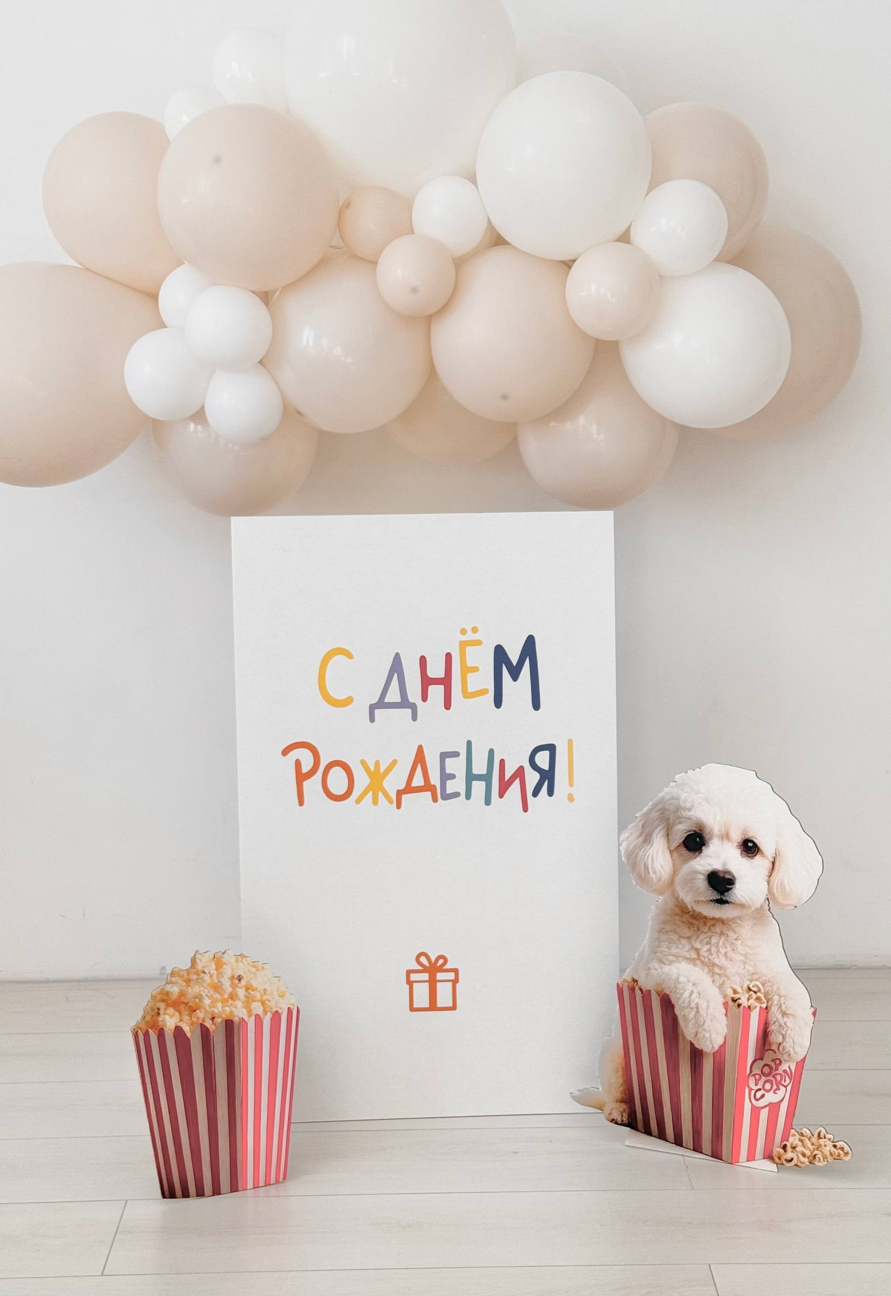 Детская фотосессия. Фотосессия на годик. Годовасие. Фотостудия «Птичка» Мытищи,