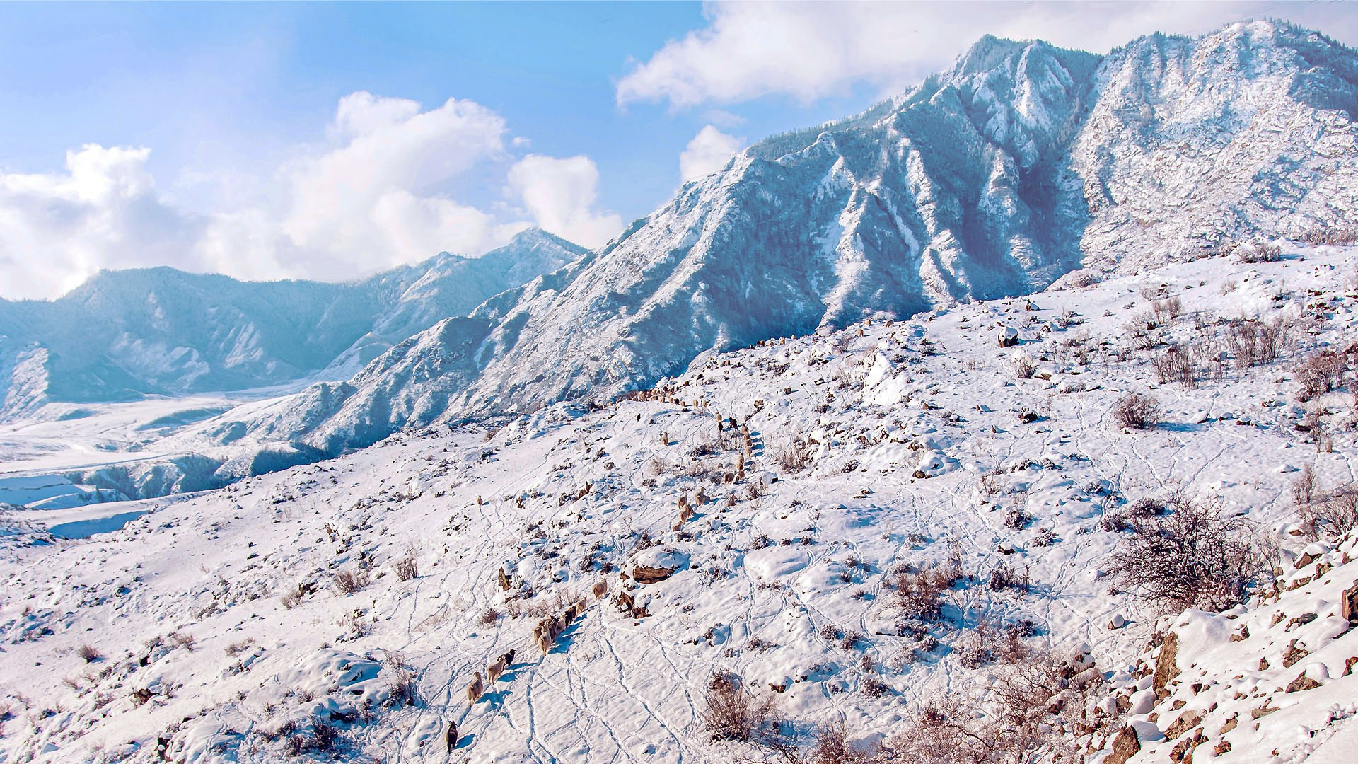 Творчество. Репортажный фотограф в Москве Измалков Артем