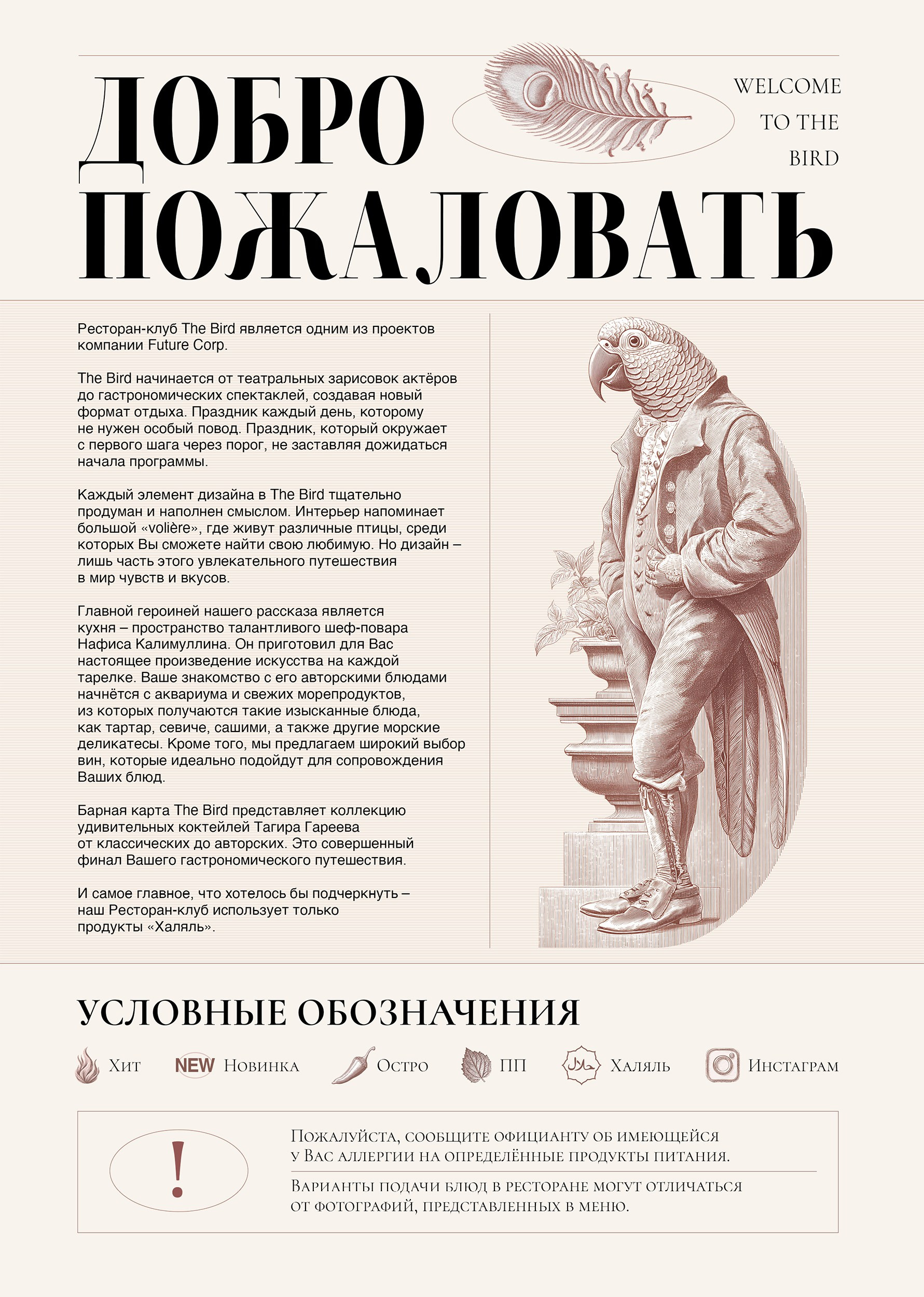Дизайн меню Bird. FOODCASE — дизайн, айдентика, фото и видео для ресторанов и food-брендов