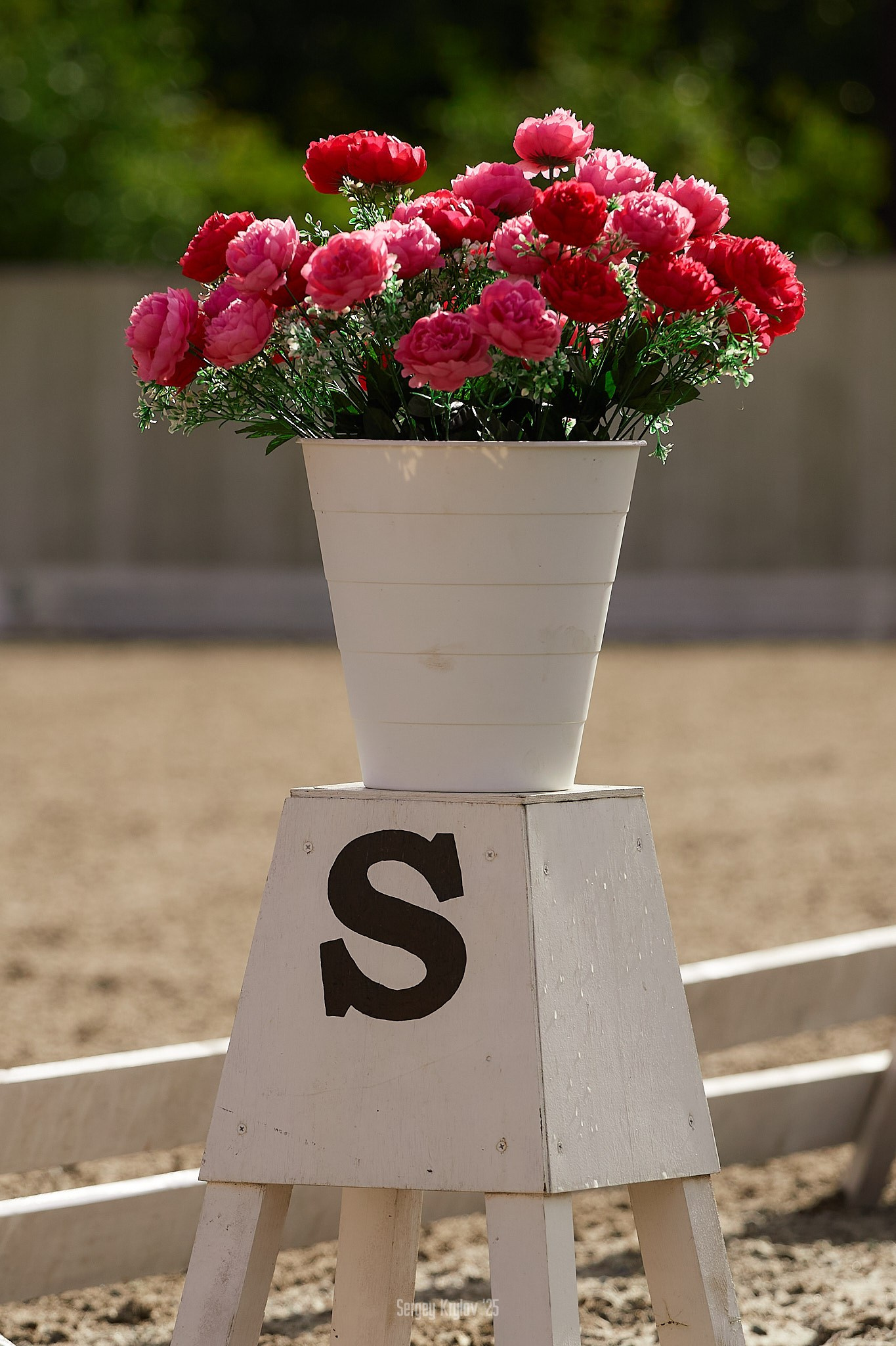 «Малый приз» в Северной Звезде