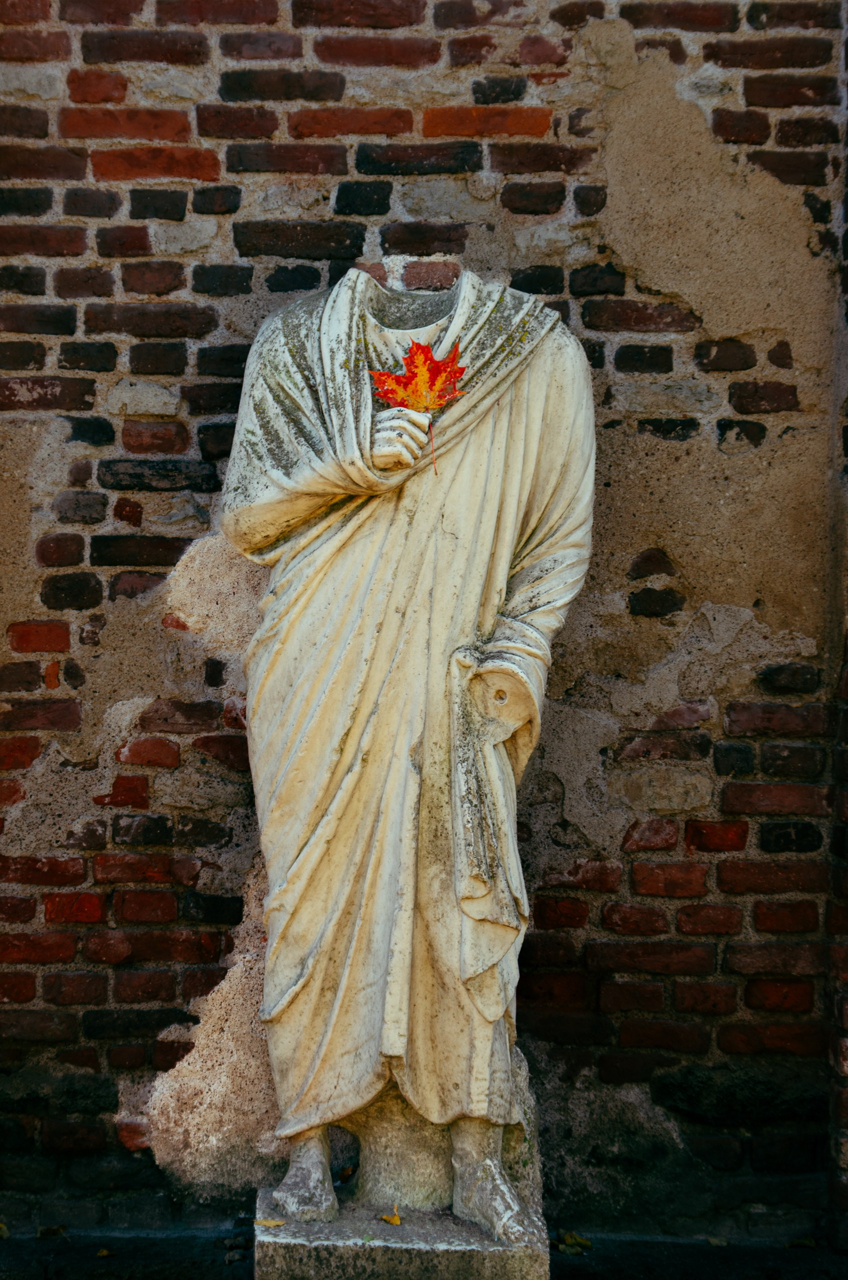 Фотограф Даниил Богомолов, Санкт-Петербург